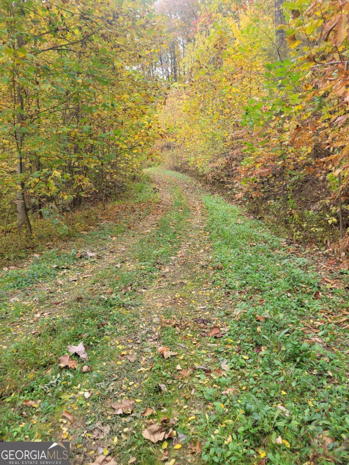 14 Ac Old Burnt Mountain Property Photo 23