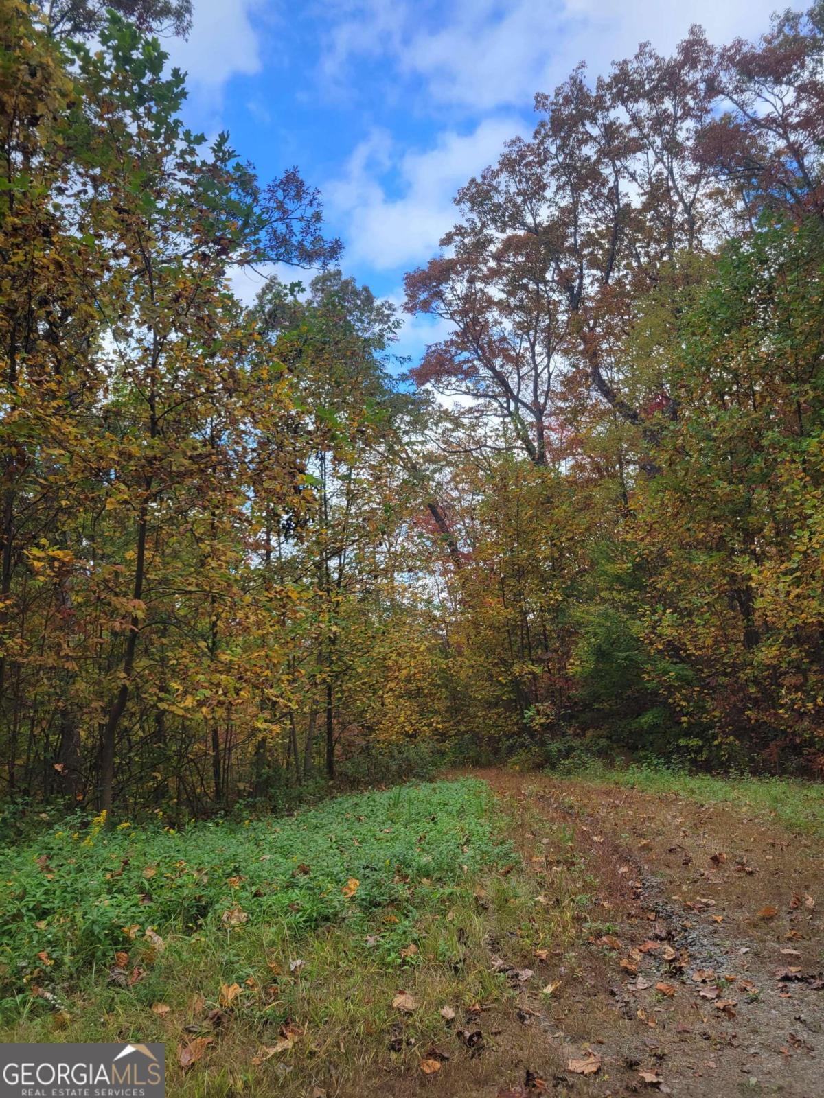 14 Ac Old Burnt Mountain Property Photo 24
