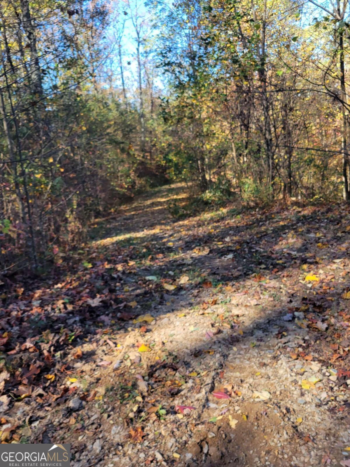 14 Ac Old Burnt Mountain Property Photo 25