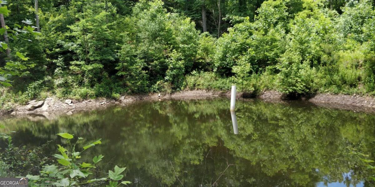 14 Ac Old Burnt Mountain Property Photo 26