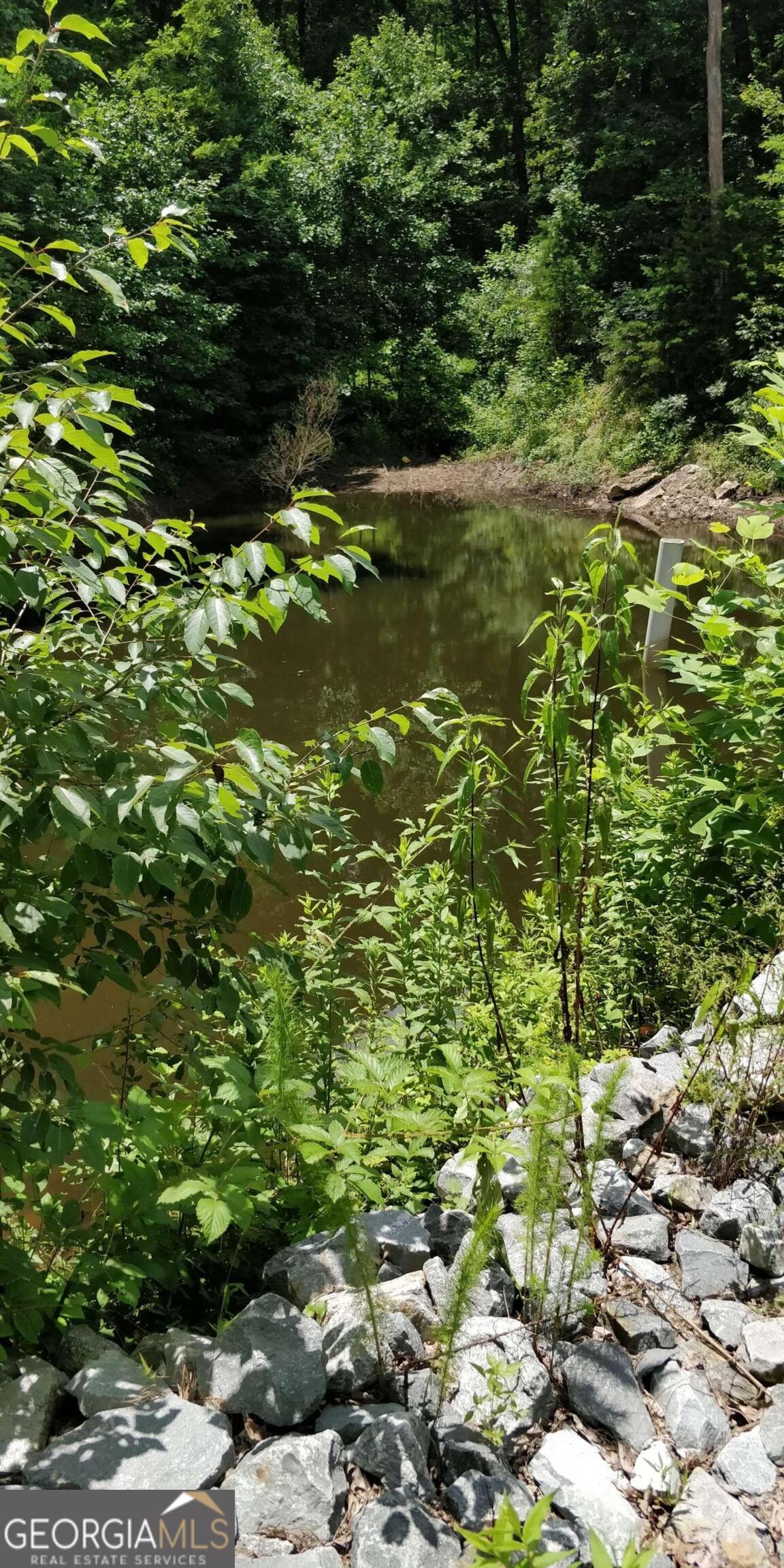 14 Ac Old Burnt Mountain Property Photo 27