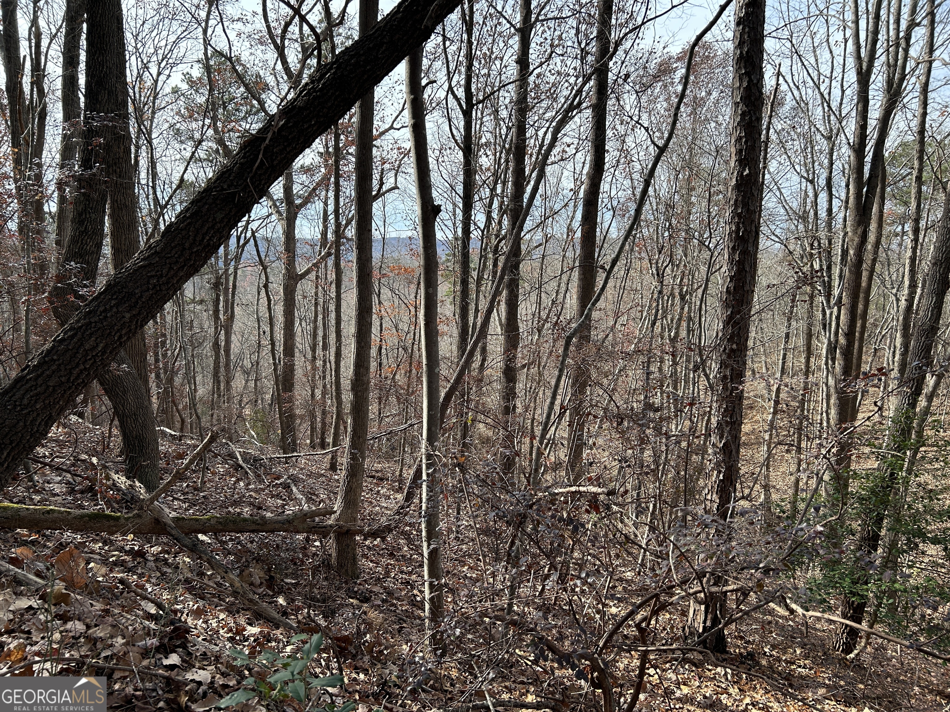 0 Highway 105 Property Photo 2
