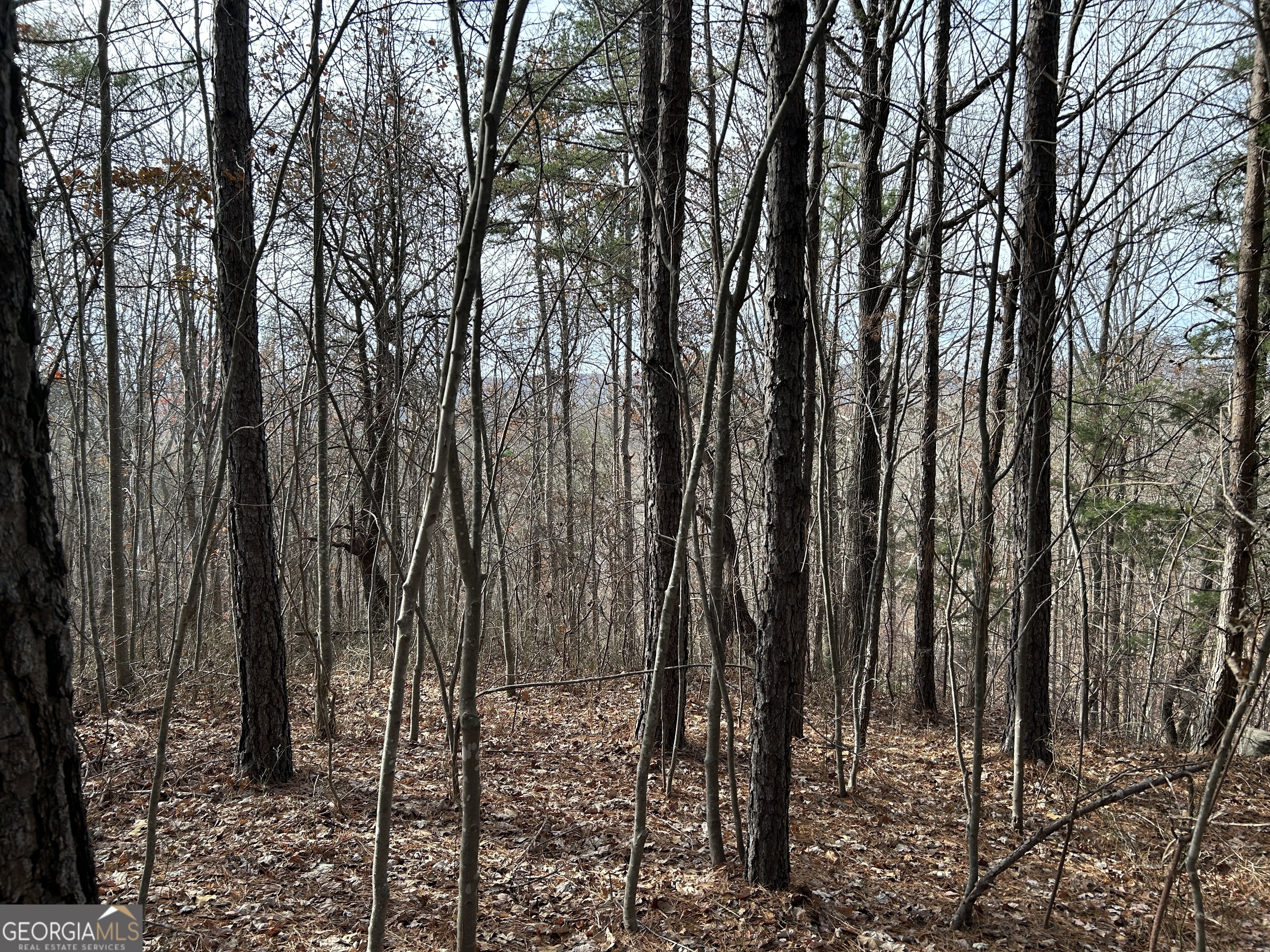 0 Highway 105 Property Photo 3