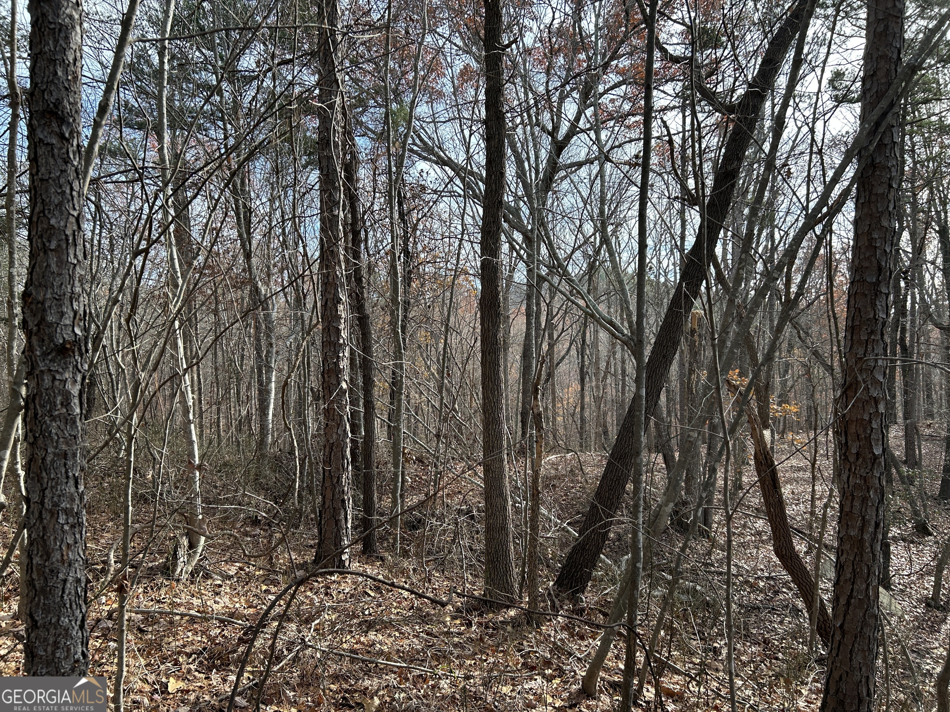 0 Highway 105 Property Photo 4