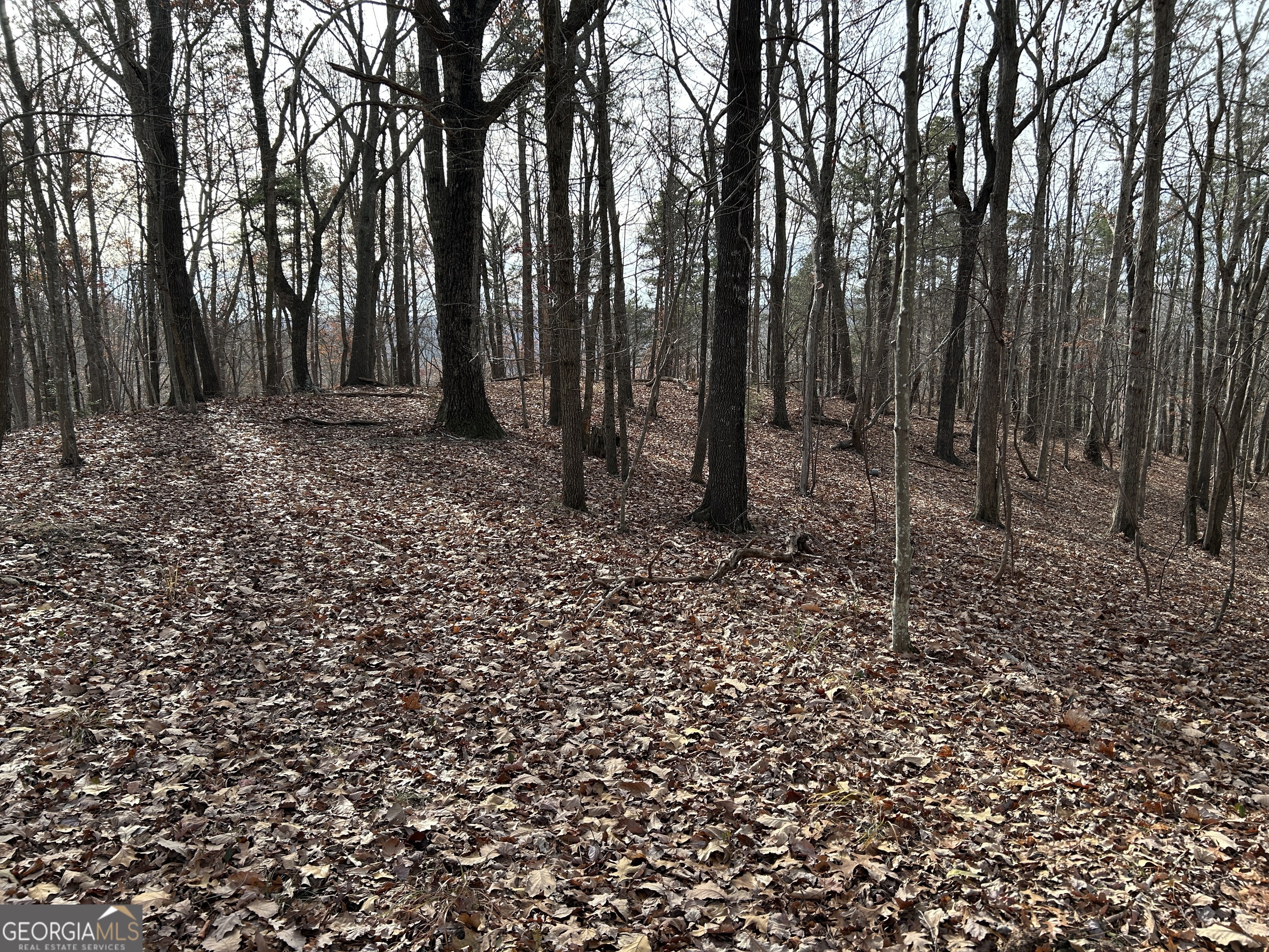 0 Highway 105 Property Photo 5