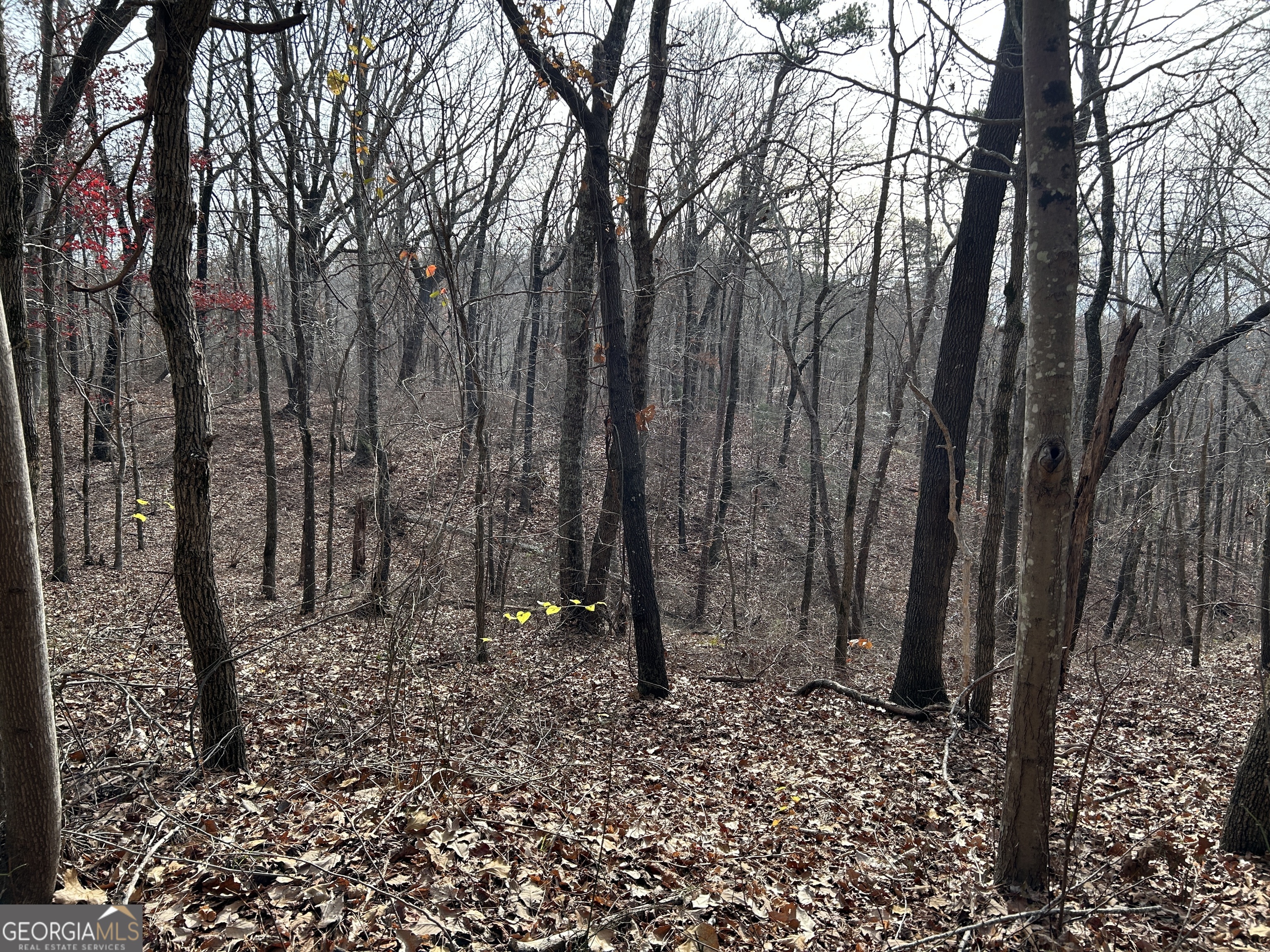 0 Highway 105 Property Photo 8