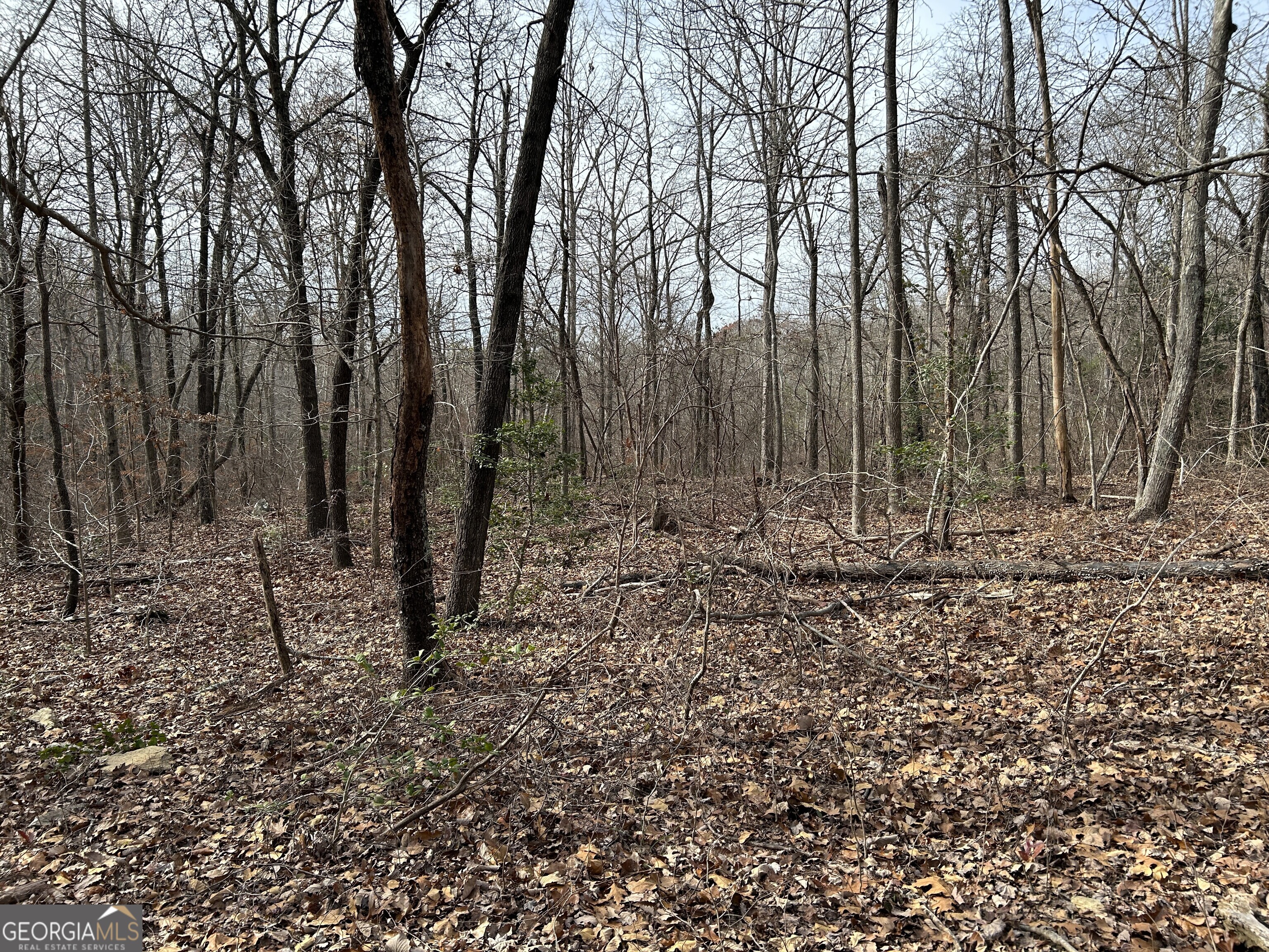 0 Highway 105 Property Photo 11
