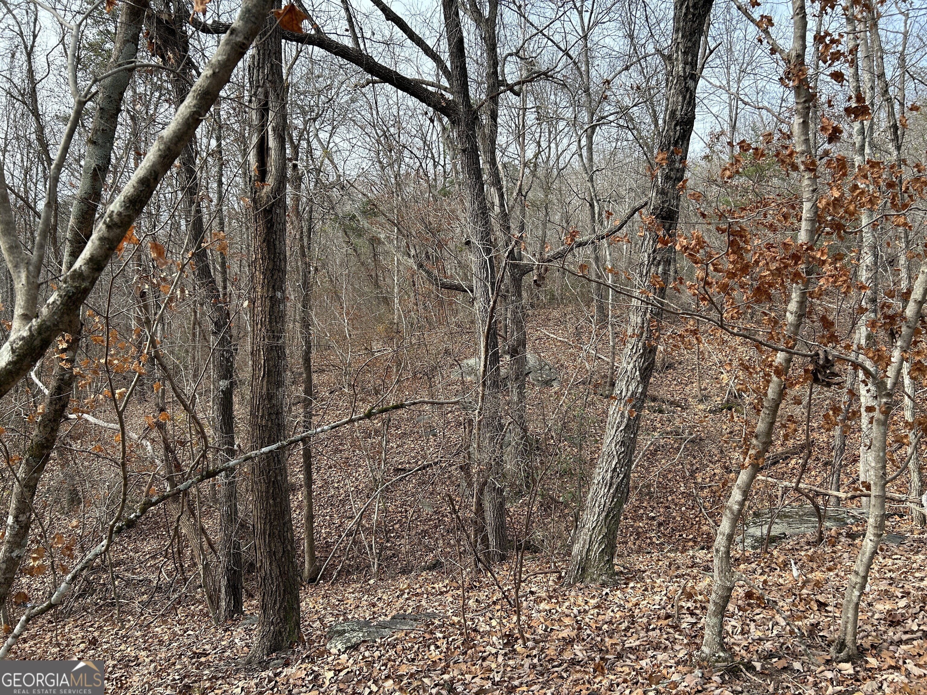 0 Highway 105 Property Photo 13