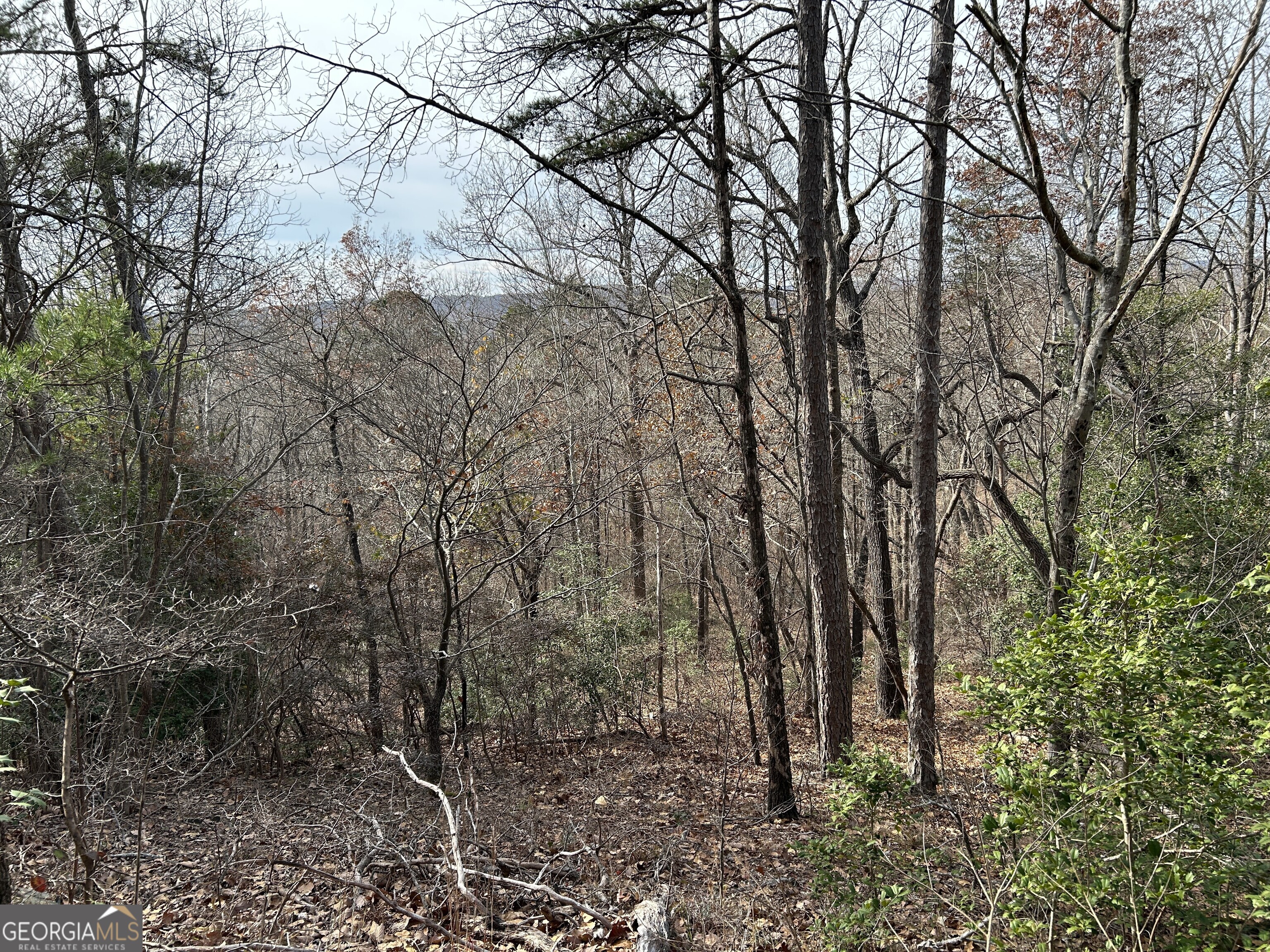 0 Highway 105 Property Photo 18