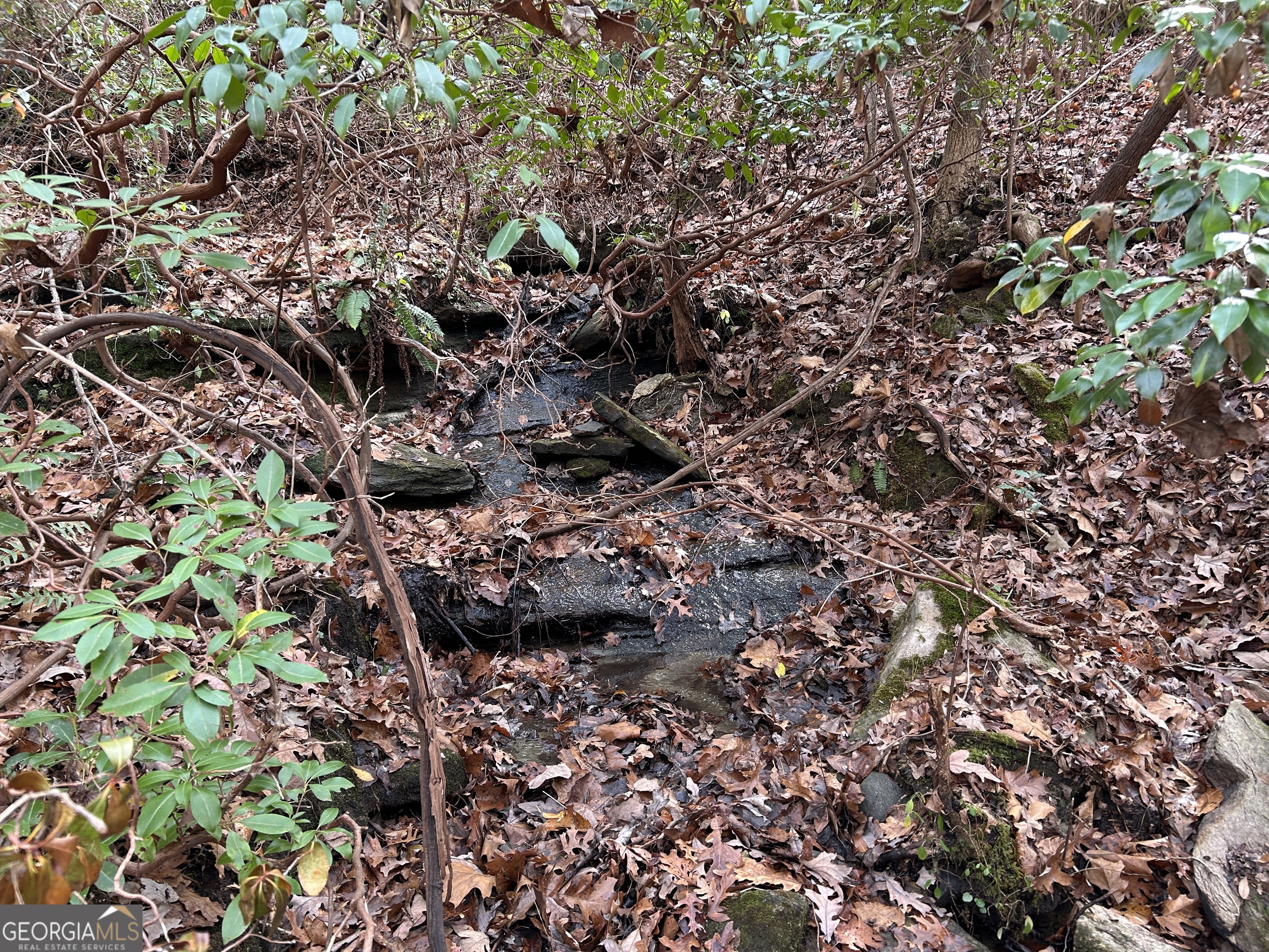 0 Highway 105 Property Photo 19
