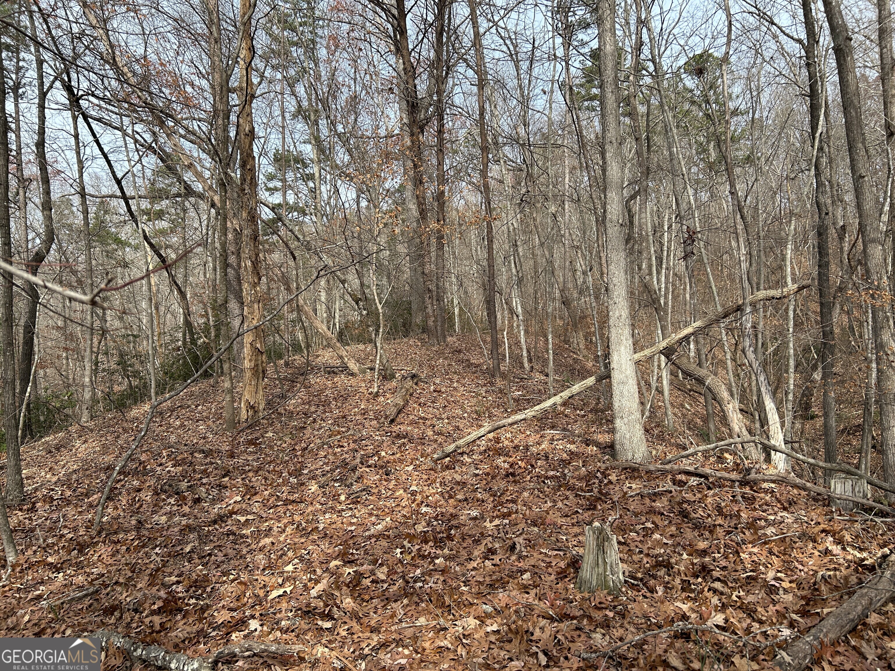 0 Highway 105 Property Photo 21