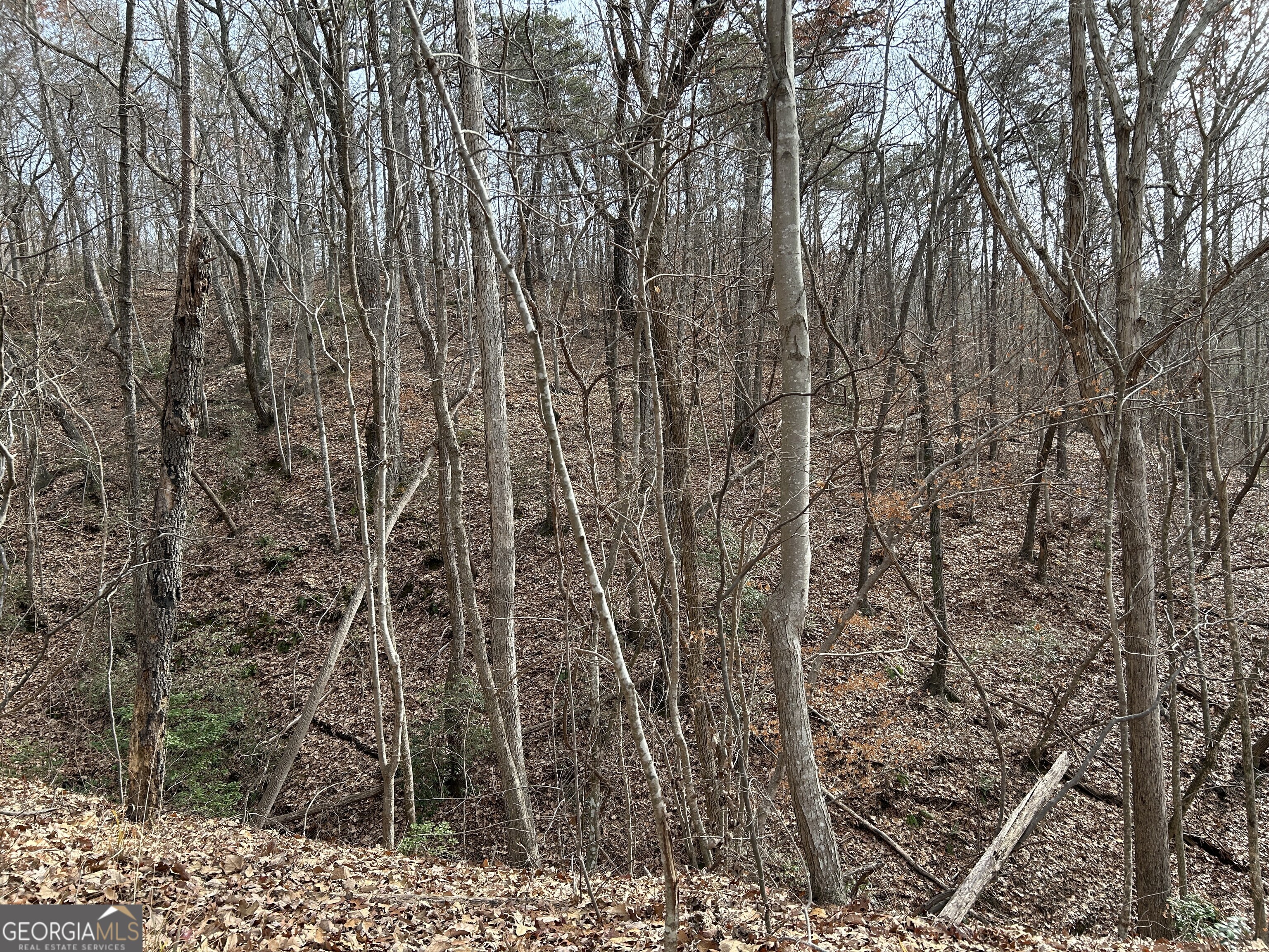 0 Highway 105 Property Photo 23