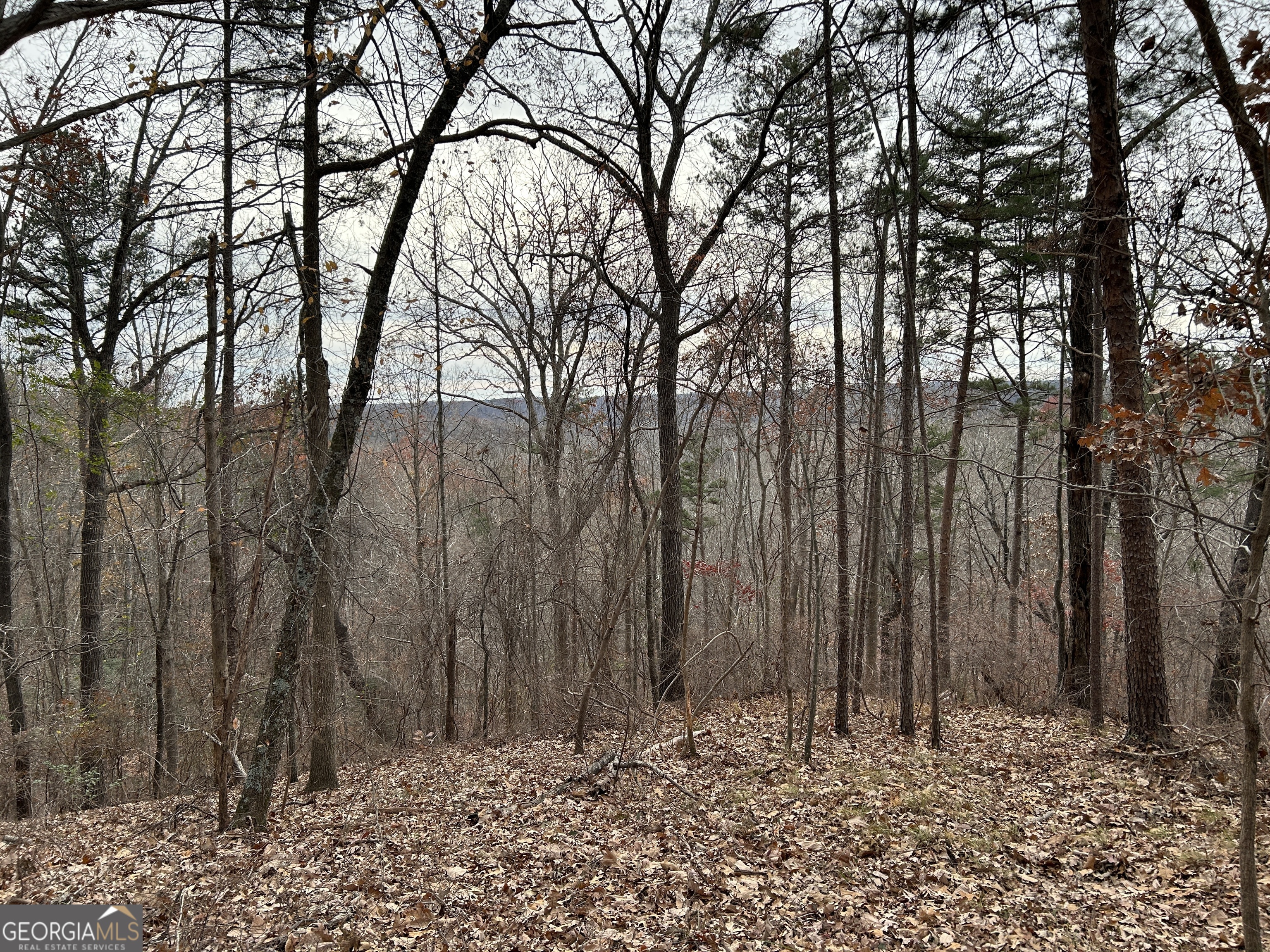 0 Highway 105 Property Photo 32