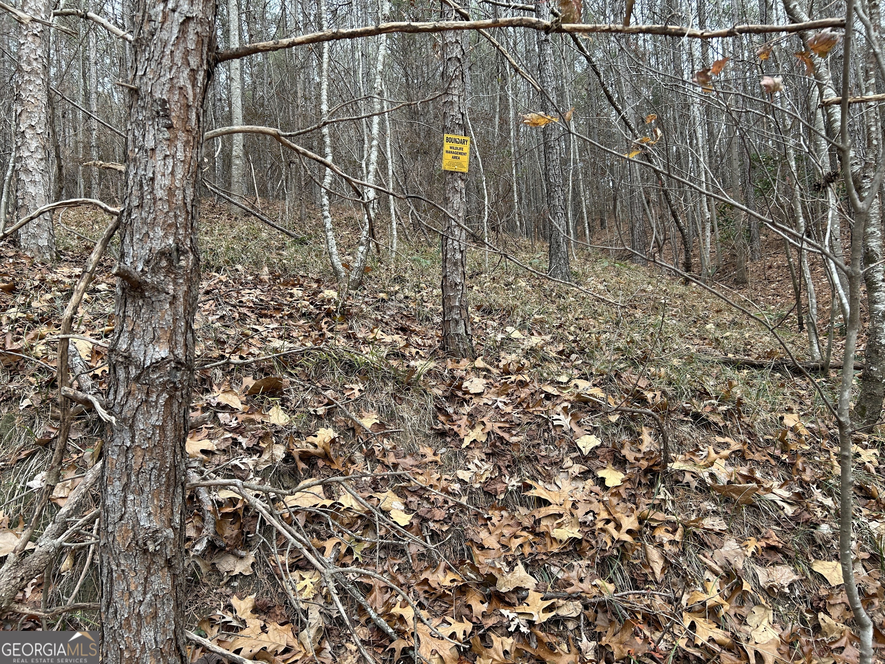 0 Highway 105 Property Photo 33
