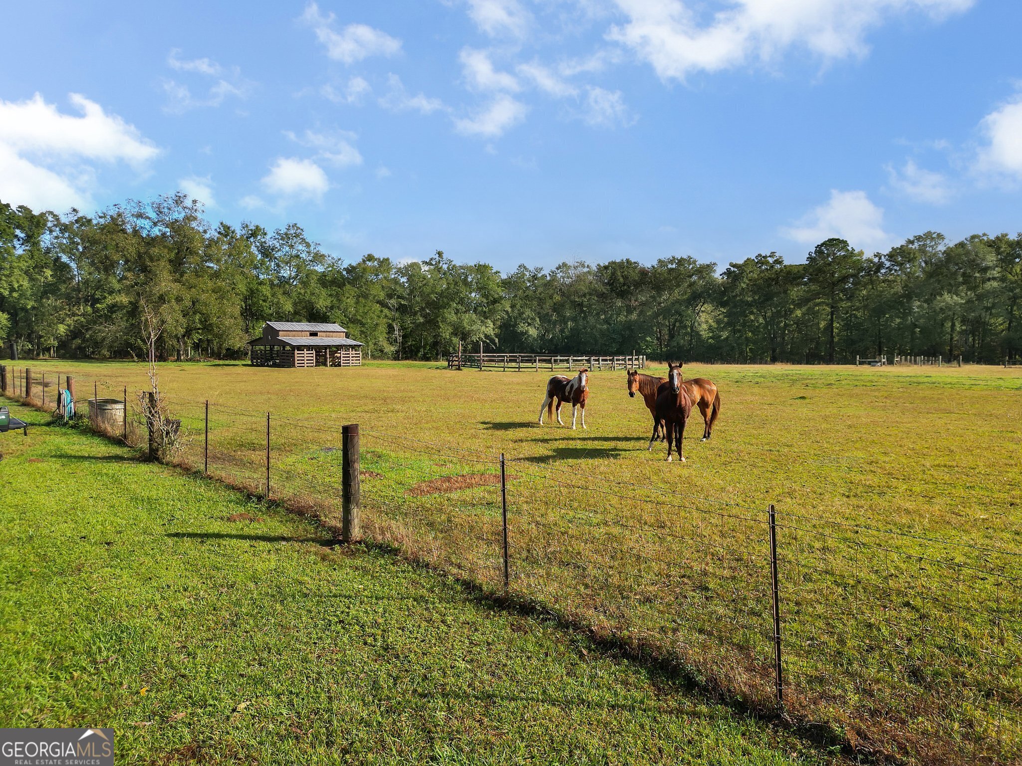 7667 Tallahassee Highway Property Photo 40