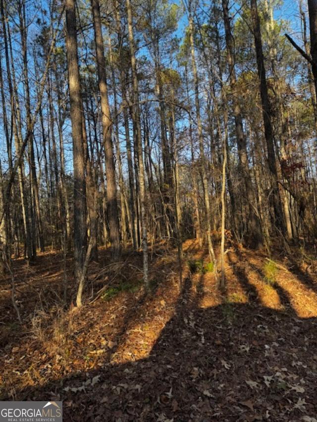 370 Buchanan Circle Tract 2 Property Photo 2