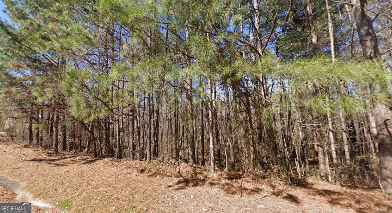 40 Wildcat Creek Drive Property Photo 1