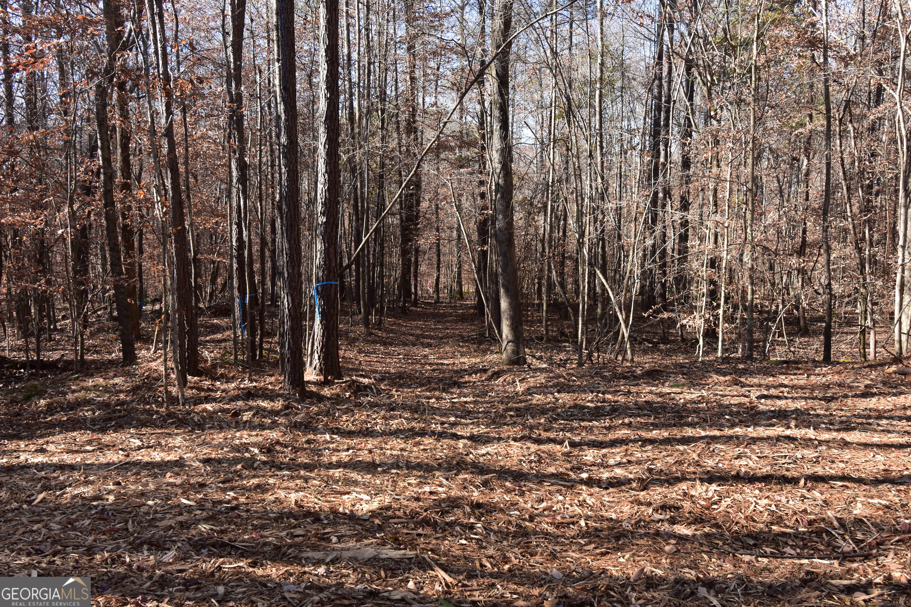 379 Marvin Land Lane Property Photo 5