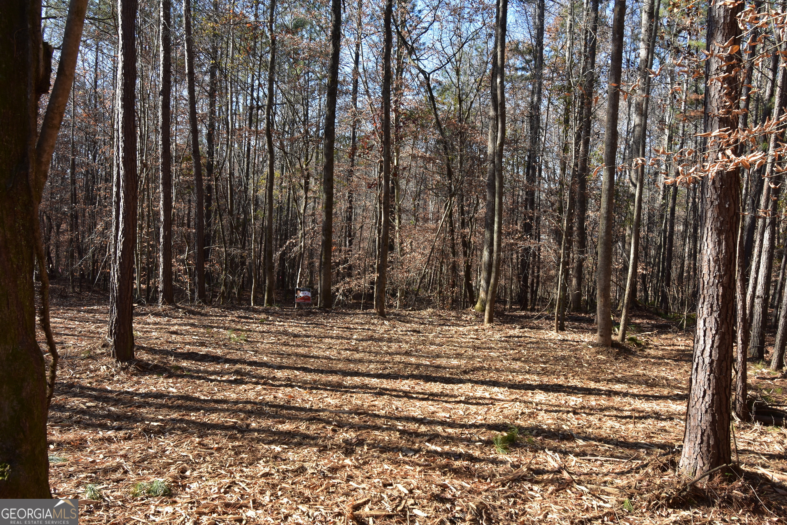 379 Marvin Land Lane Property Photo 6