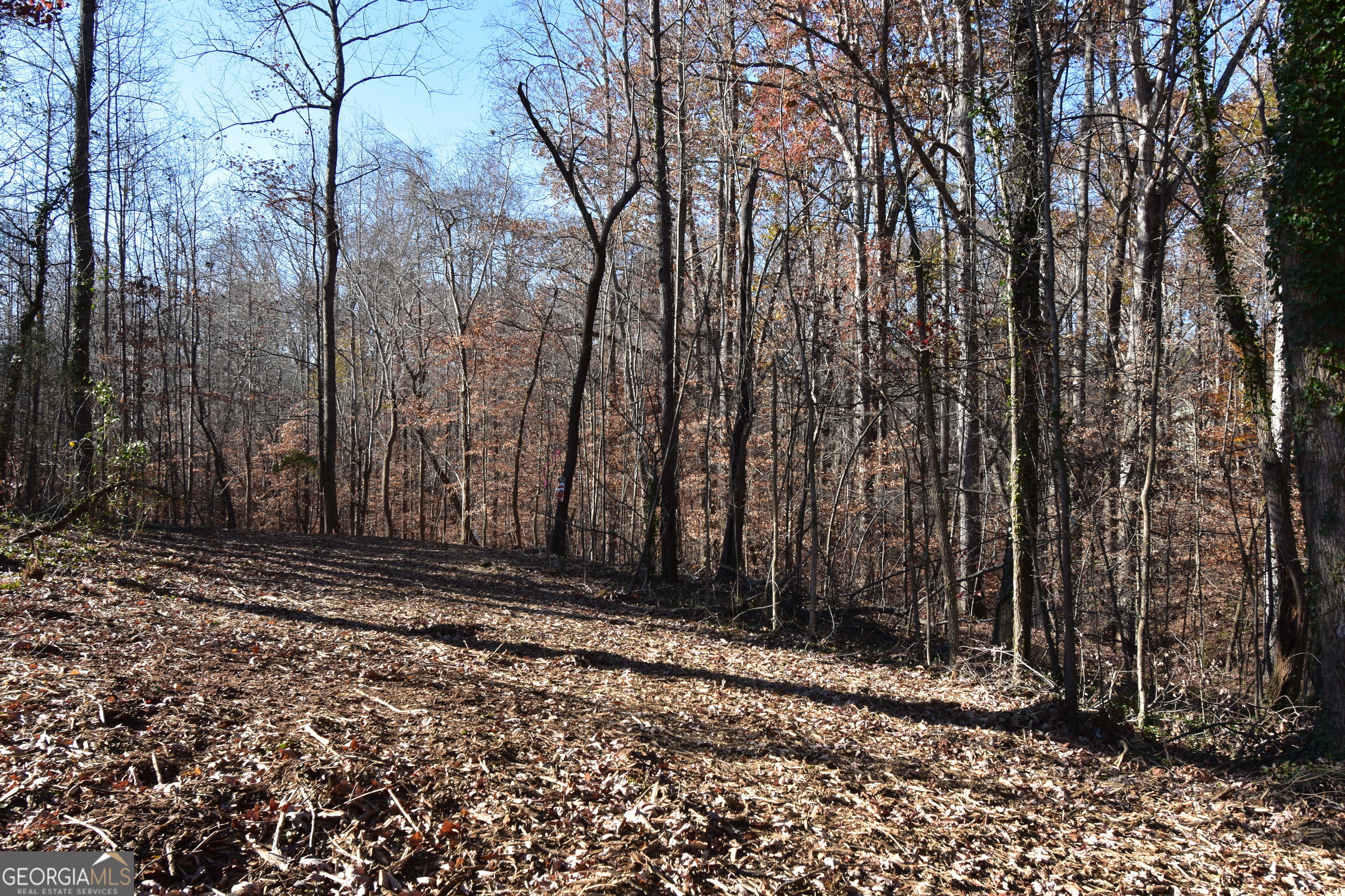 391 Marvin Land Lane Property Photo 5