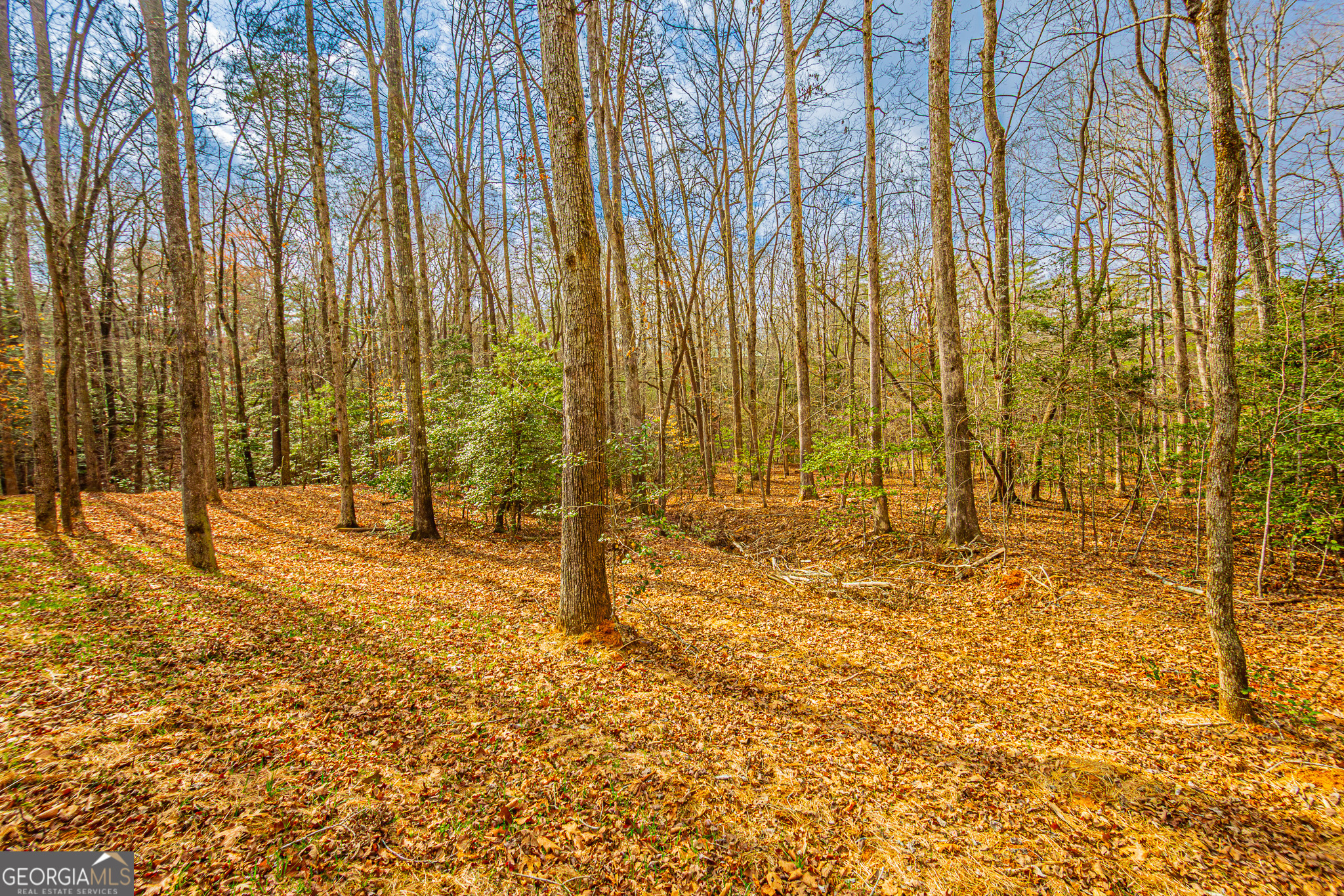 90 Lake Point Drive Property Photo 5