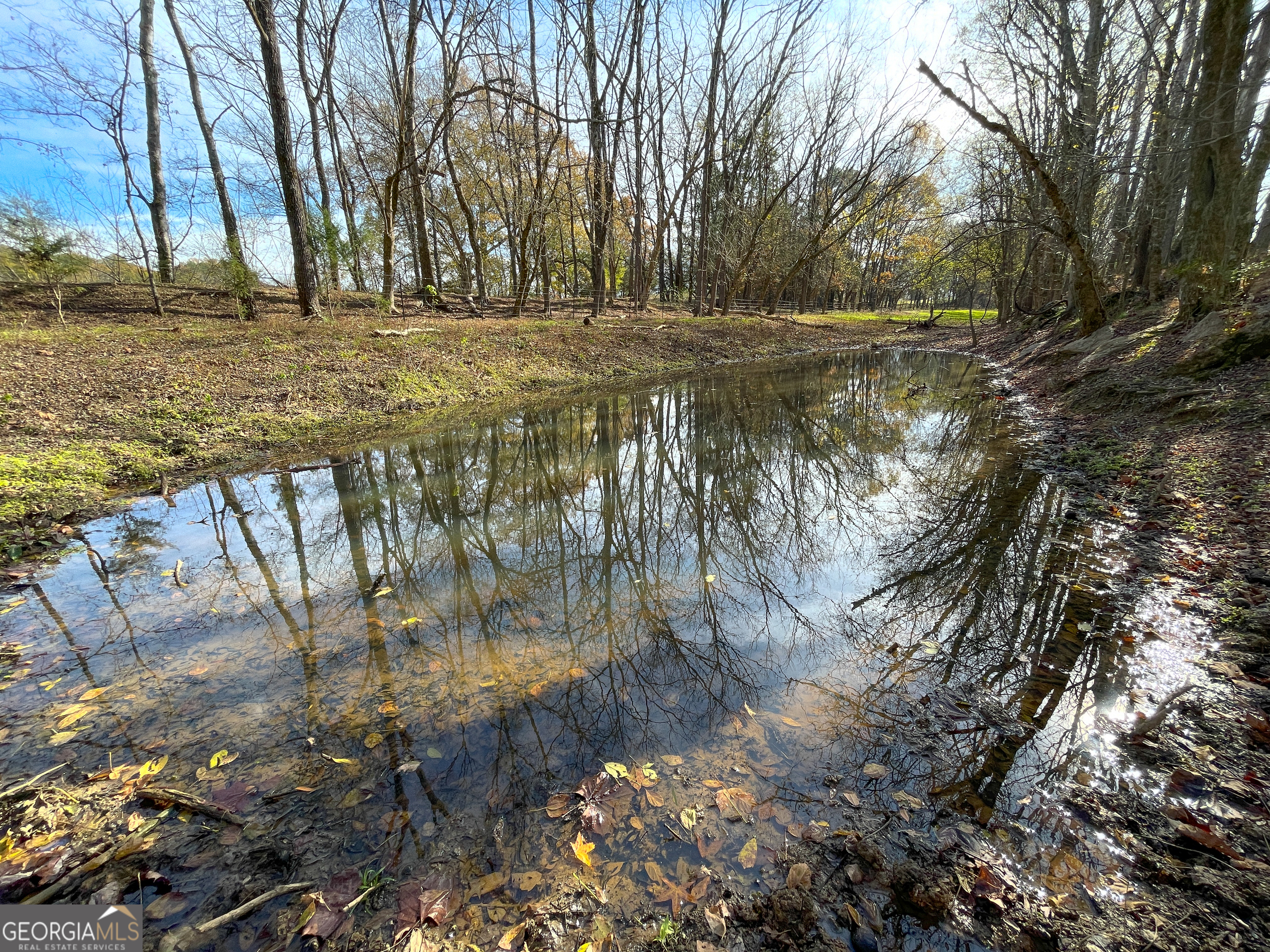 10 +/- Acres Off Smith Circle Property Photo 3