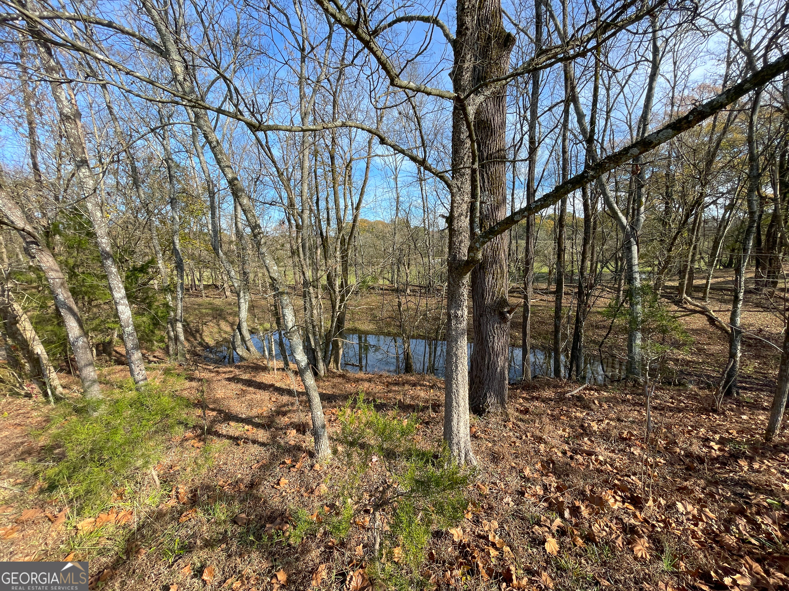 10 +/- Acres Off Smith Circle Property Photo 6