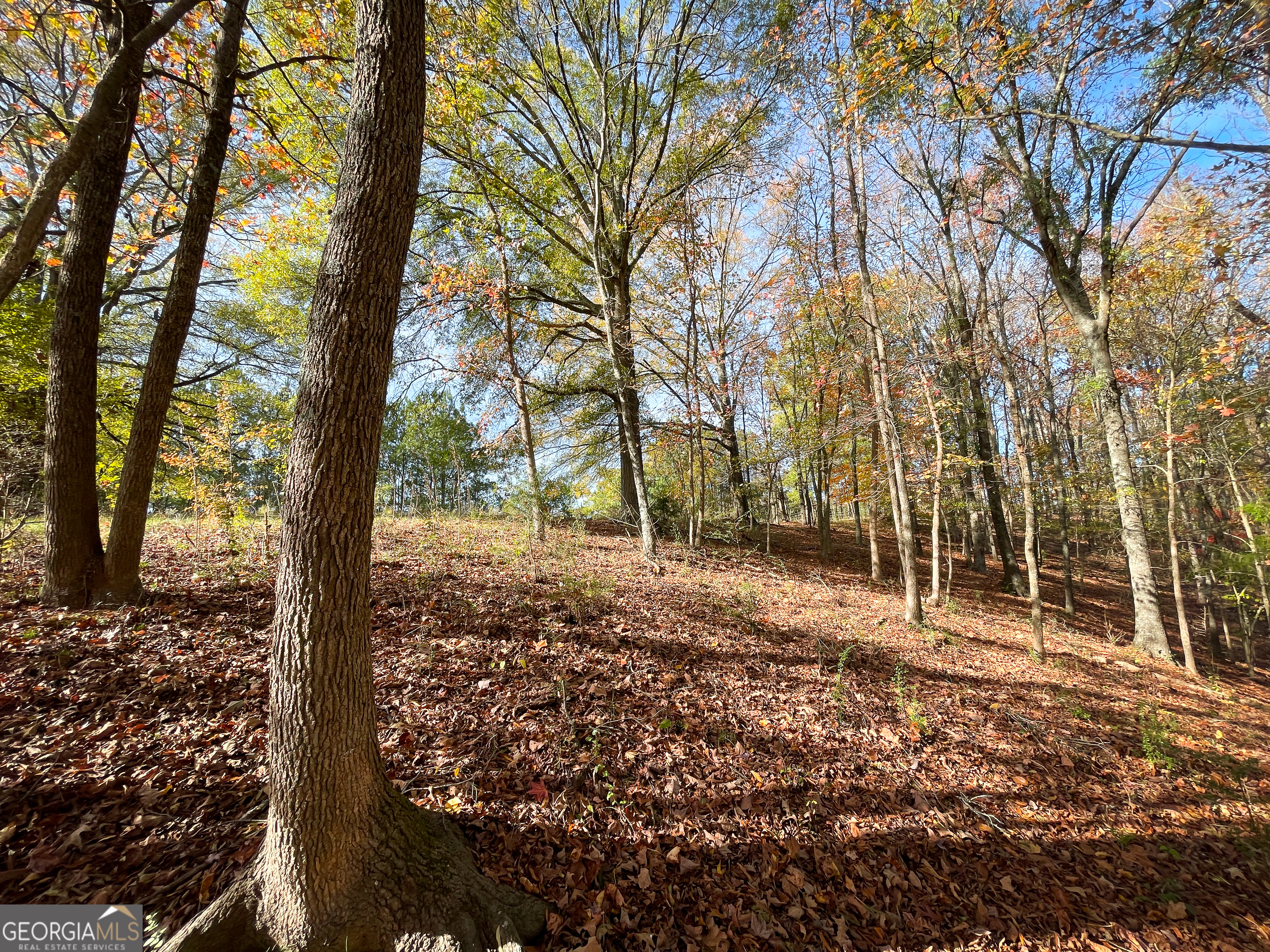 10 +/- Acres Off Smith Circle Property Photo 13