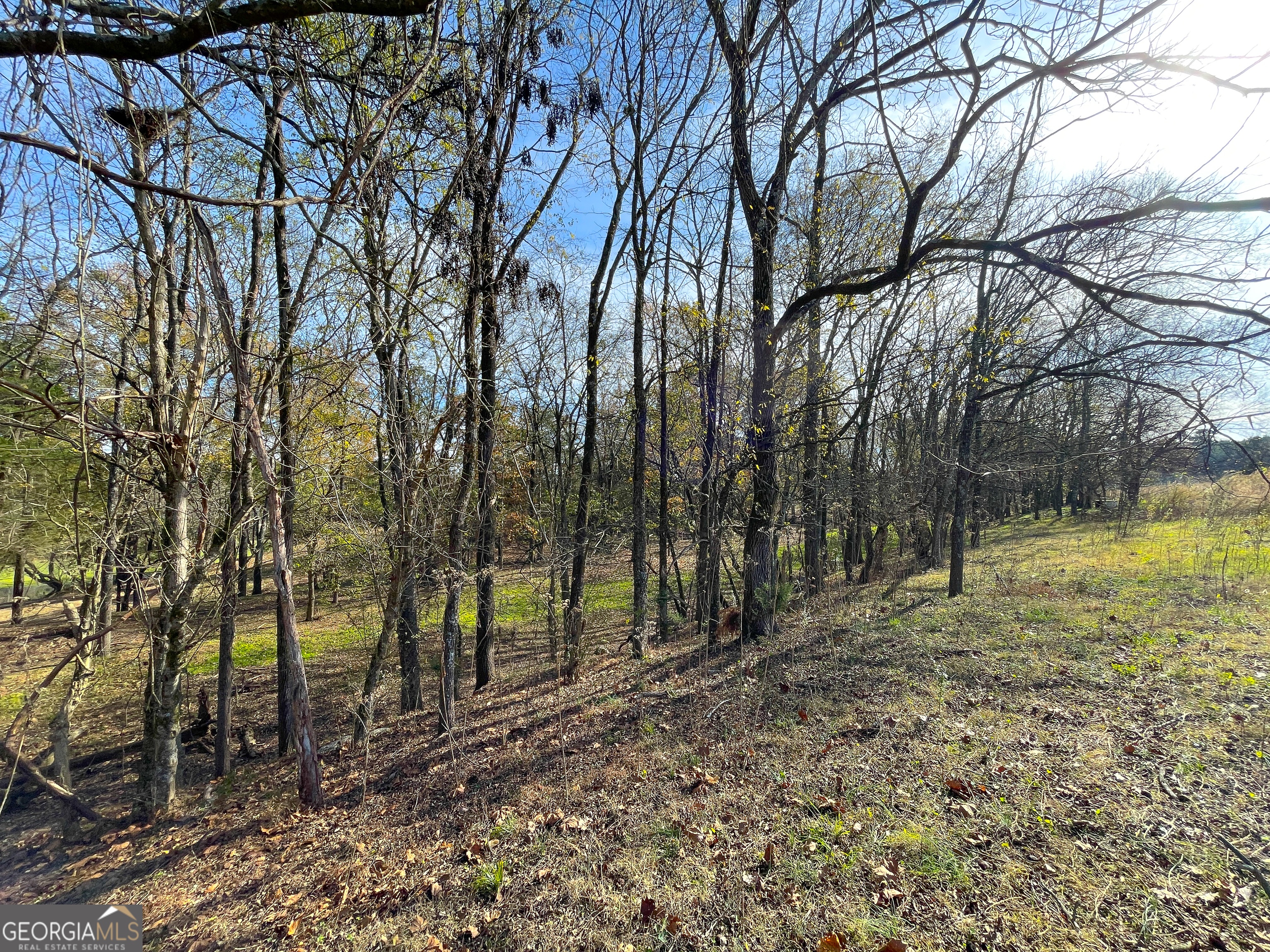 10 +/- Acres Off Smith Circle Property Photo 16