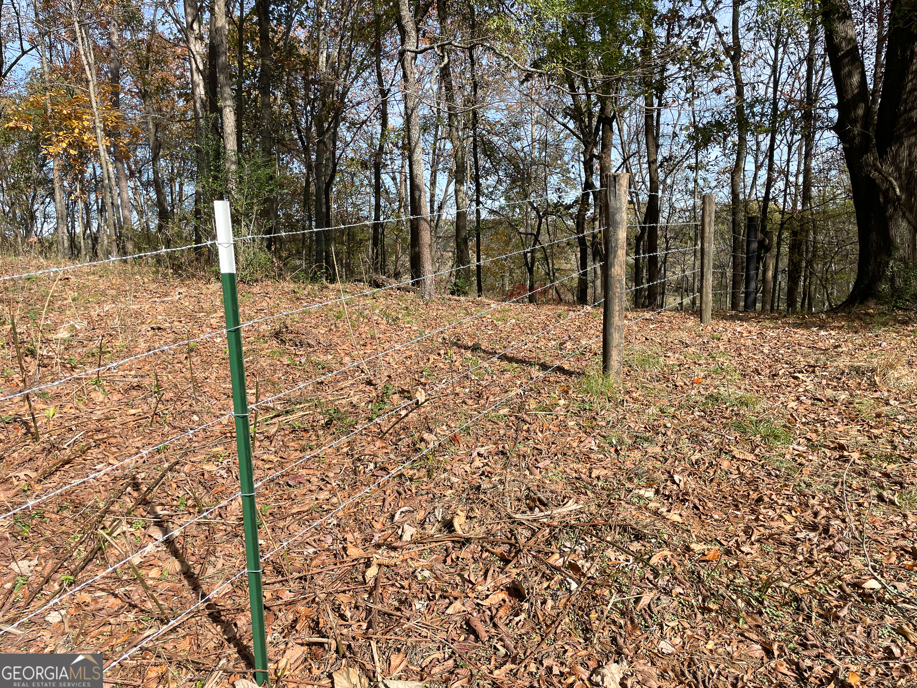 10 +/- Acres Off Smith Circle Property Photo 18