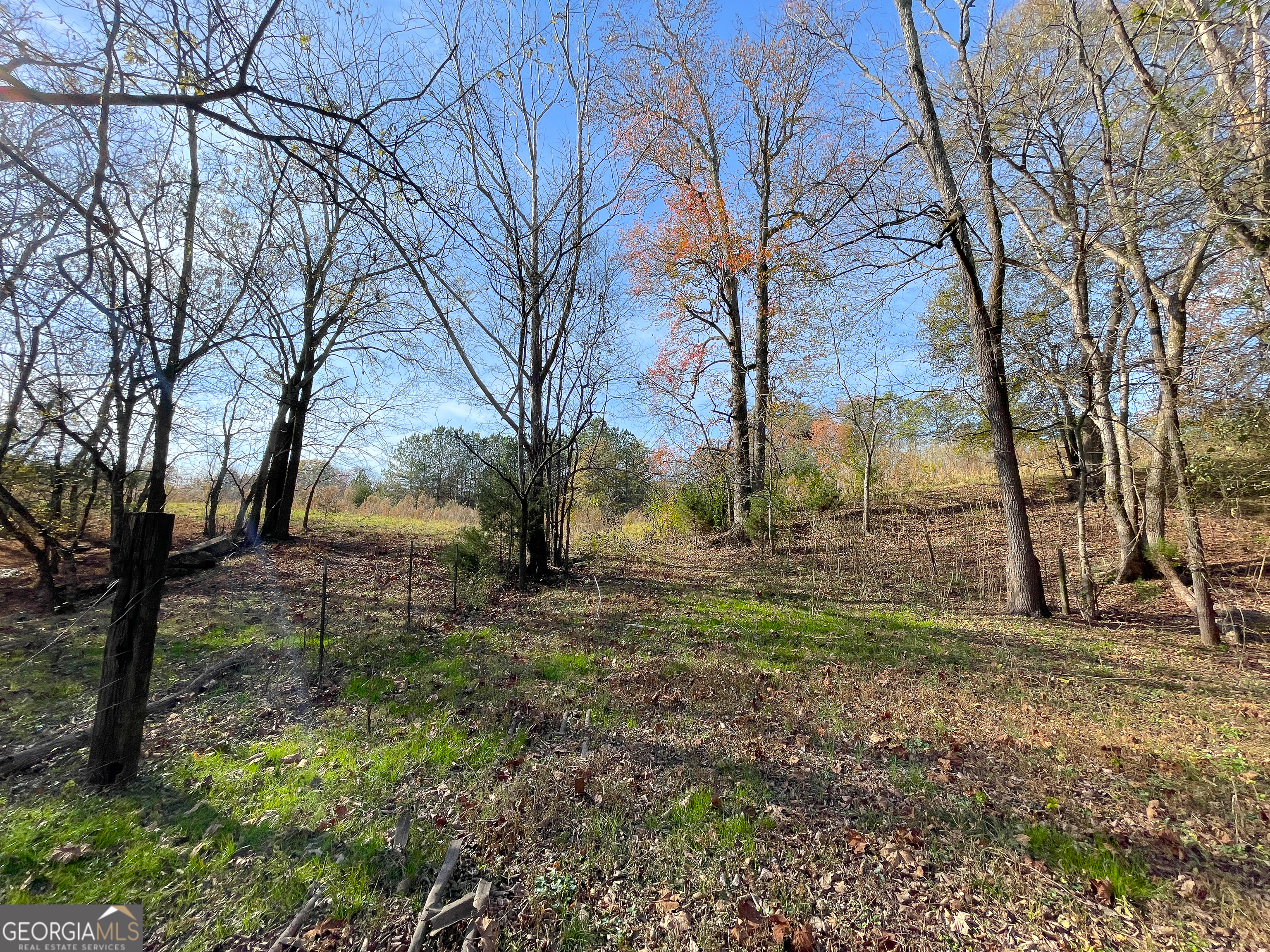 10 +/- Acres Off Smith Circle Property Photo 20