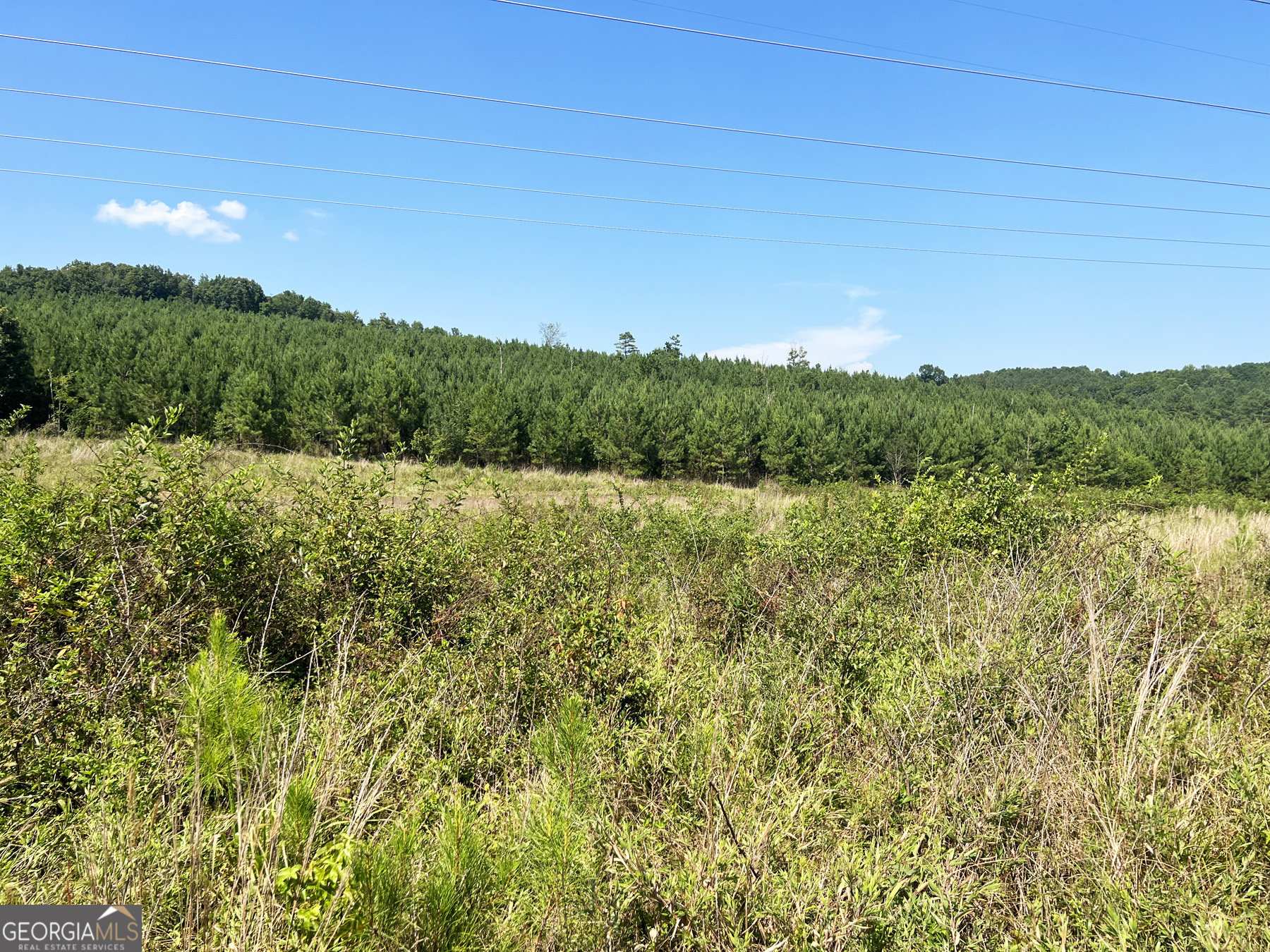 0 Booger Hollow Road Property Photo 1