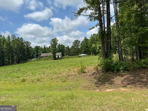 102 Antlers Trail Property Photo 5