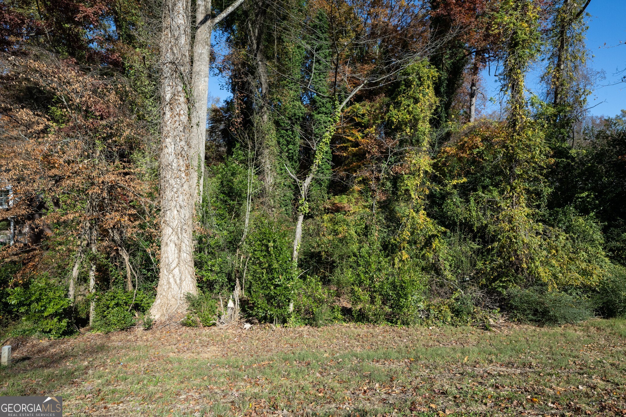 2924 Lavista Road Property Photo 11