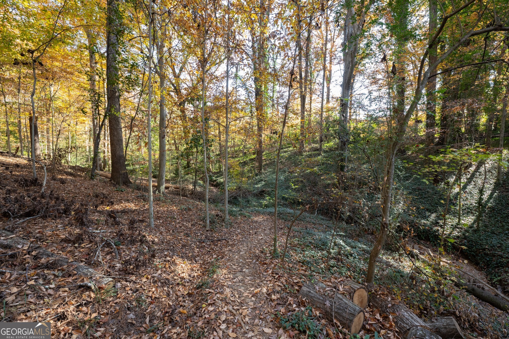 2924 Lavista Road Property Photo 17