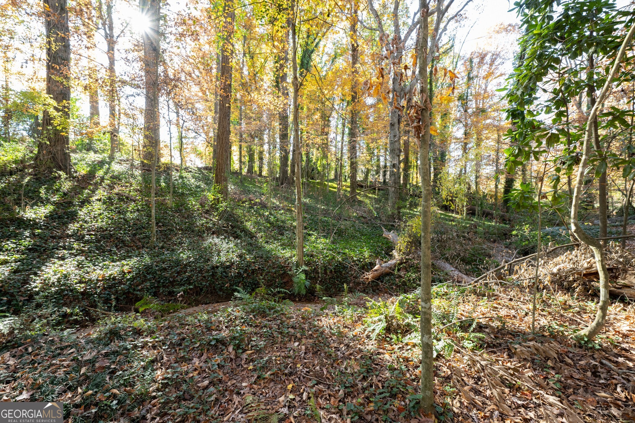 2924 Lavista Road Property Photo 18