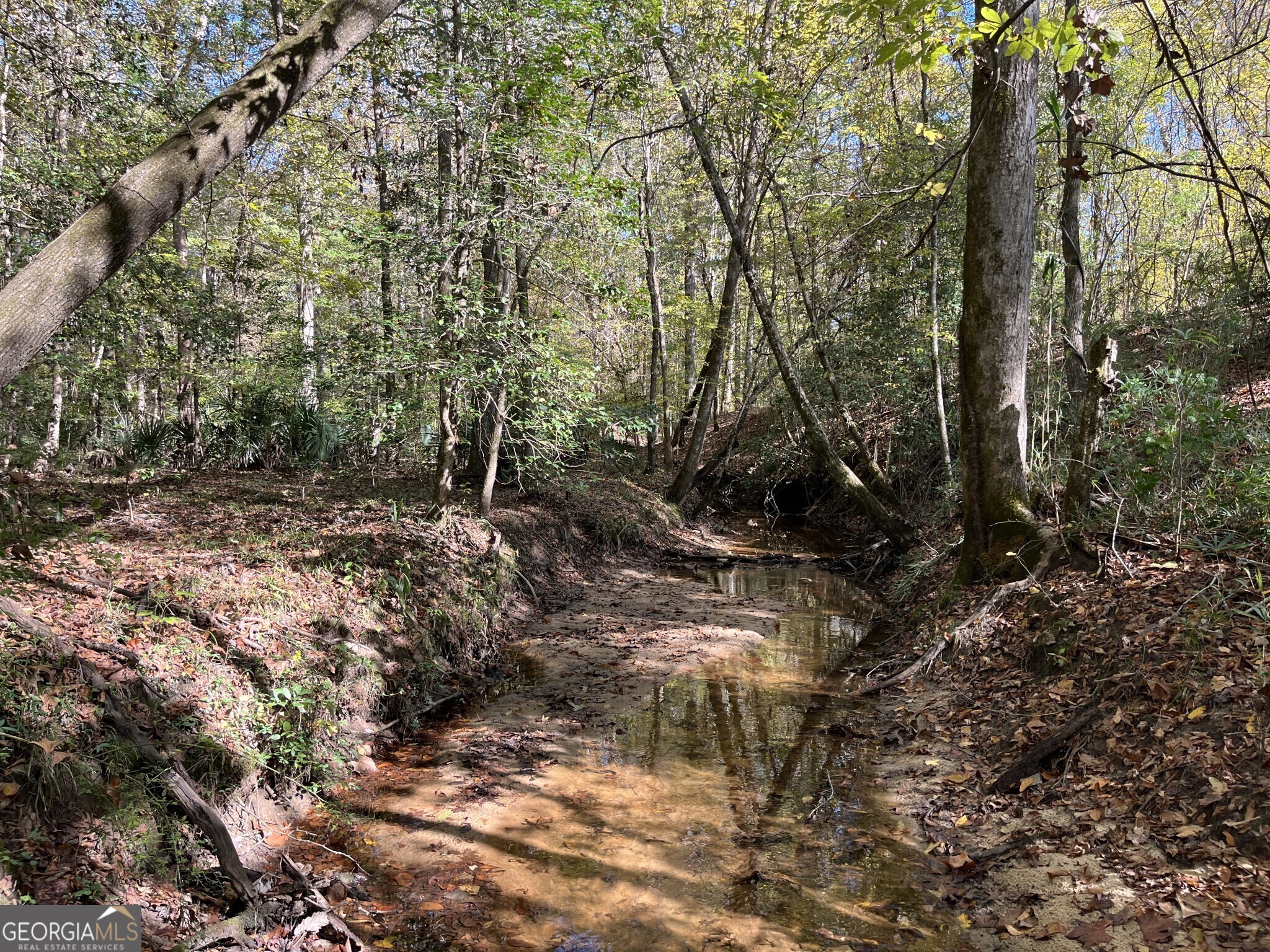 0 Beaver Dam Road Property Photo