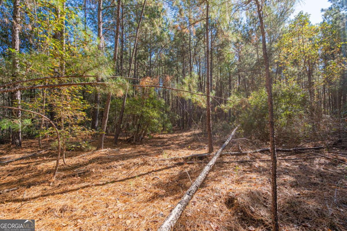 0 Ralph Rahn Road Property Photo 1