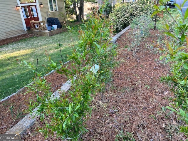 249 Martin Street Property Photo 3