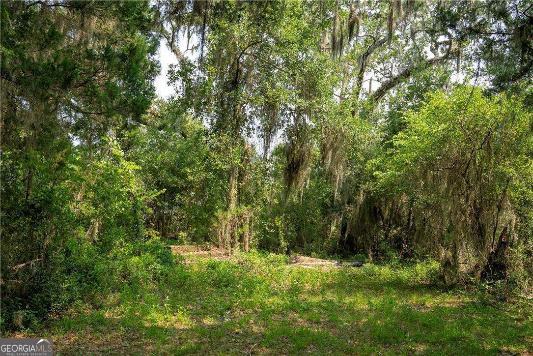 1304 Old Smokey Road Property Photo 6