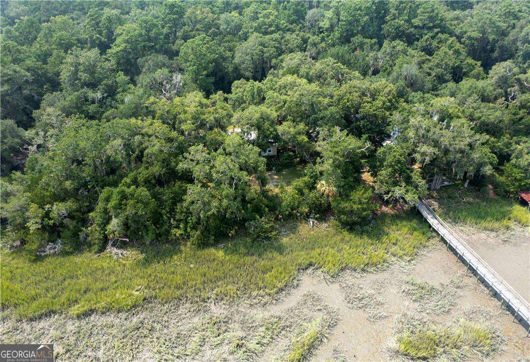 1304 Old Smokey Road Property Photo 12