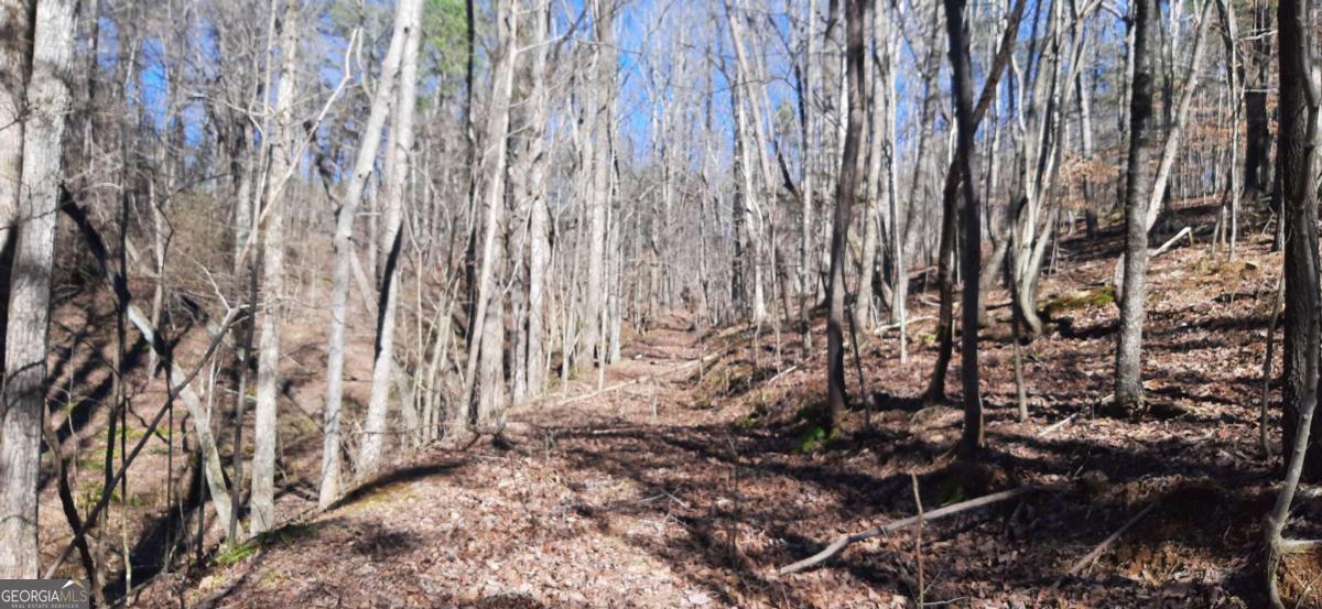 11953 Henderson Mountain Road Property Photo 19