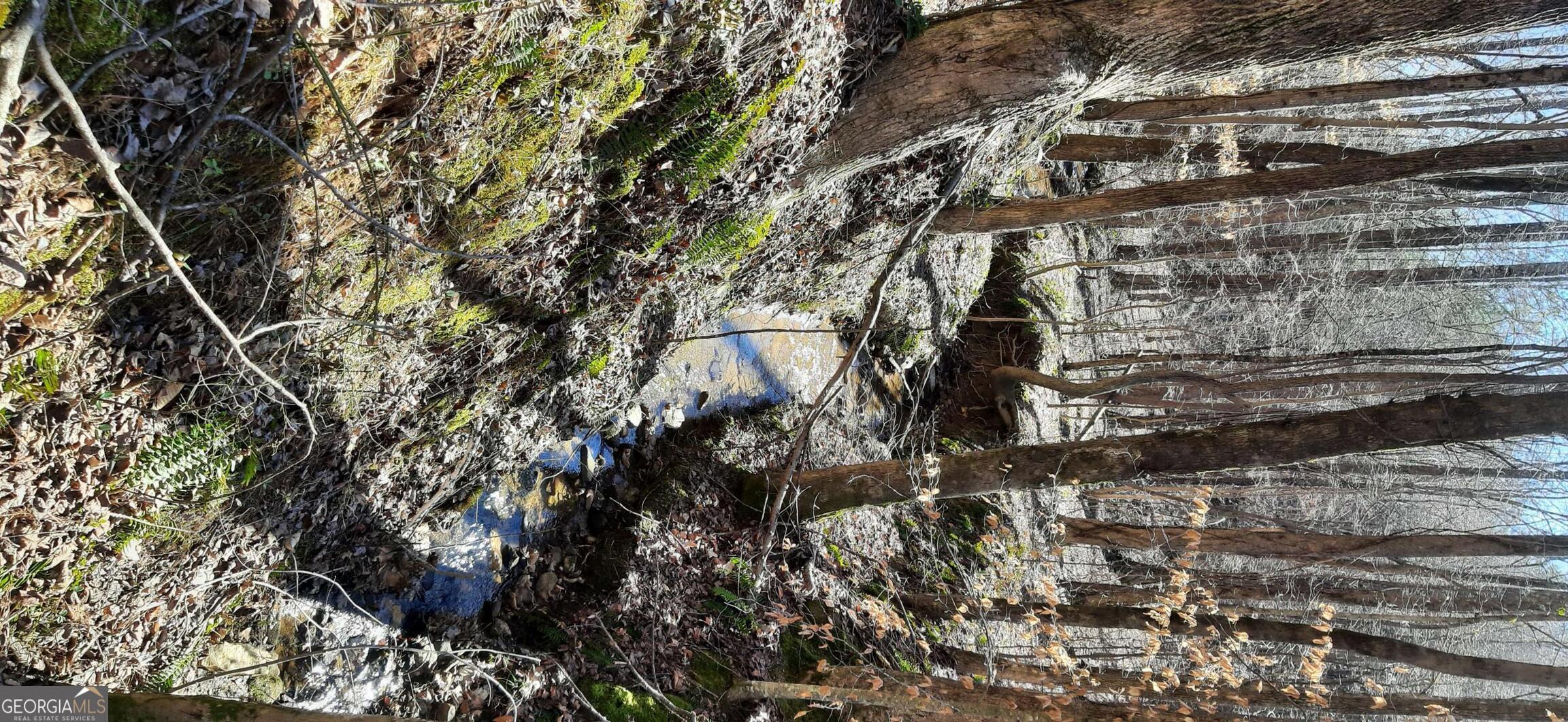 11953 Henderson Mountain Road Property Photo 25