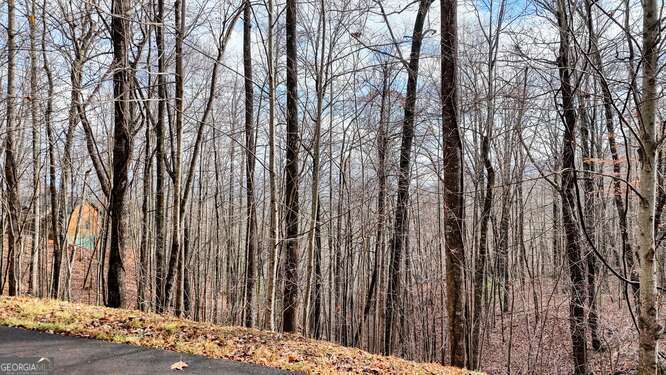 Lot 2 Overlook At Y.h. Property Photo 3