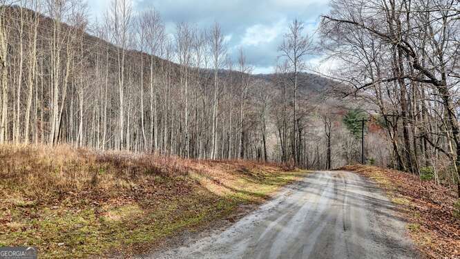 Lot 2 Overlook At Y.h. Property Photo 13