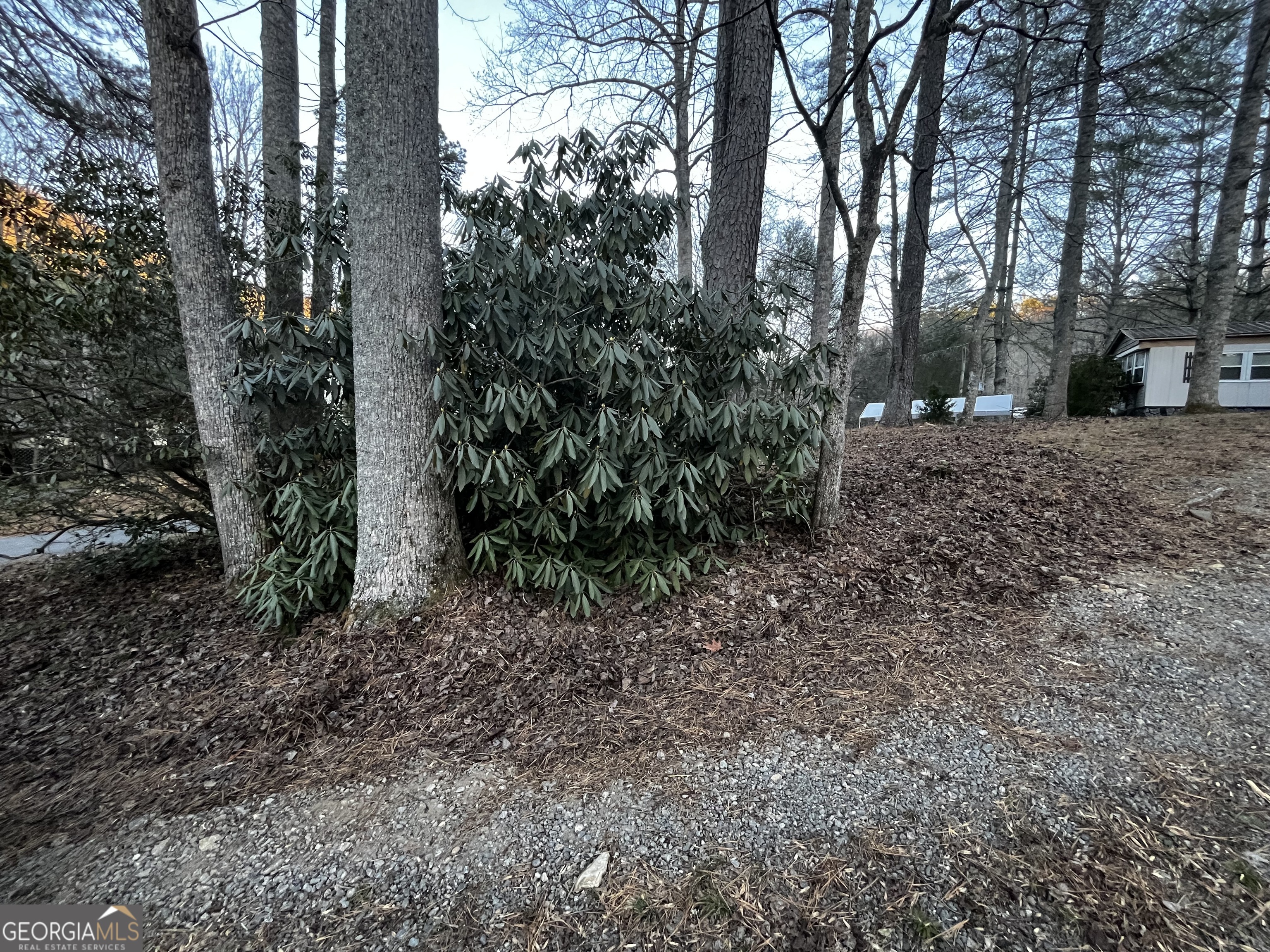 83 Leisure Woods Lane Property Photo 6