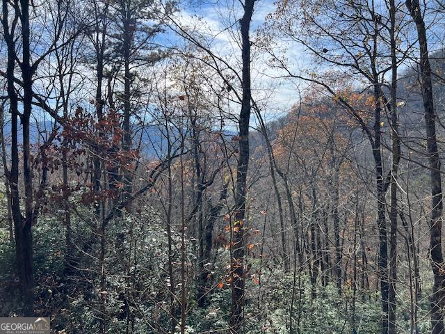 LOT 19 The Highlands At Hightower Ridge Property Photo 1
