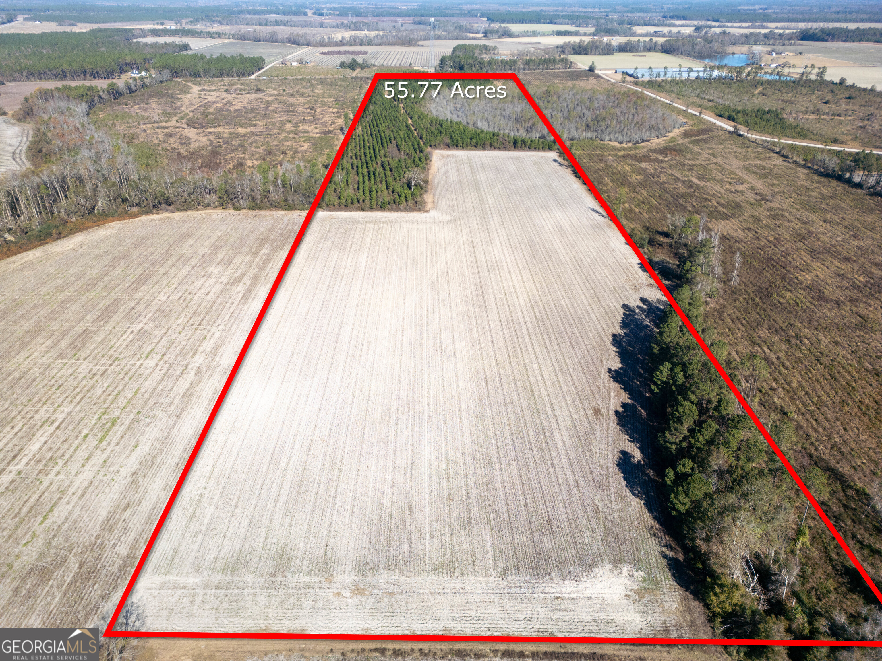 0 Piney Grove Church Road Property Photo 8