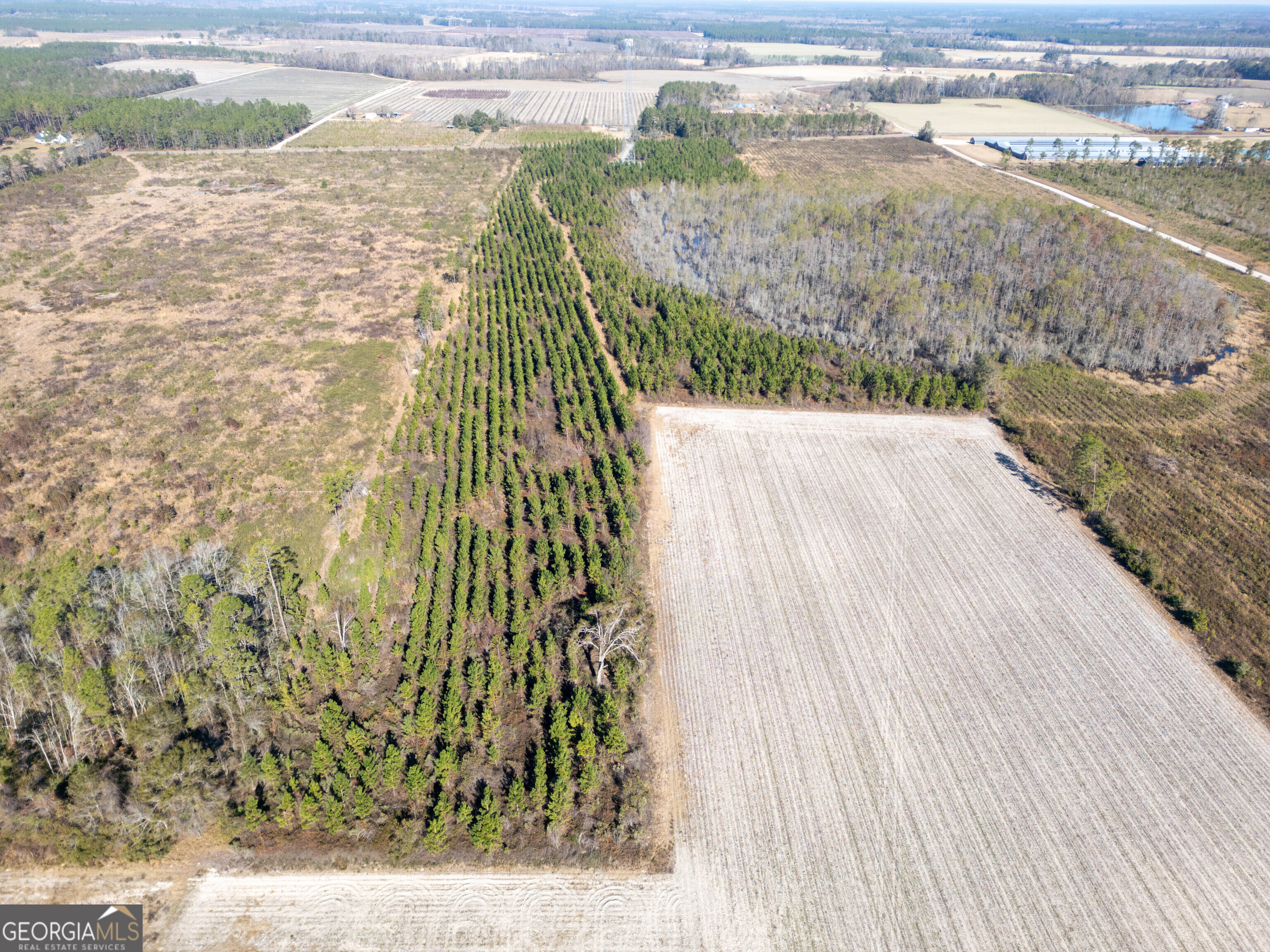 0 Piney Grove Church Road Property Photo 9