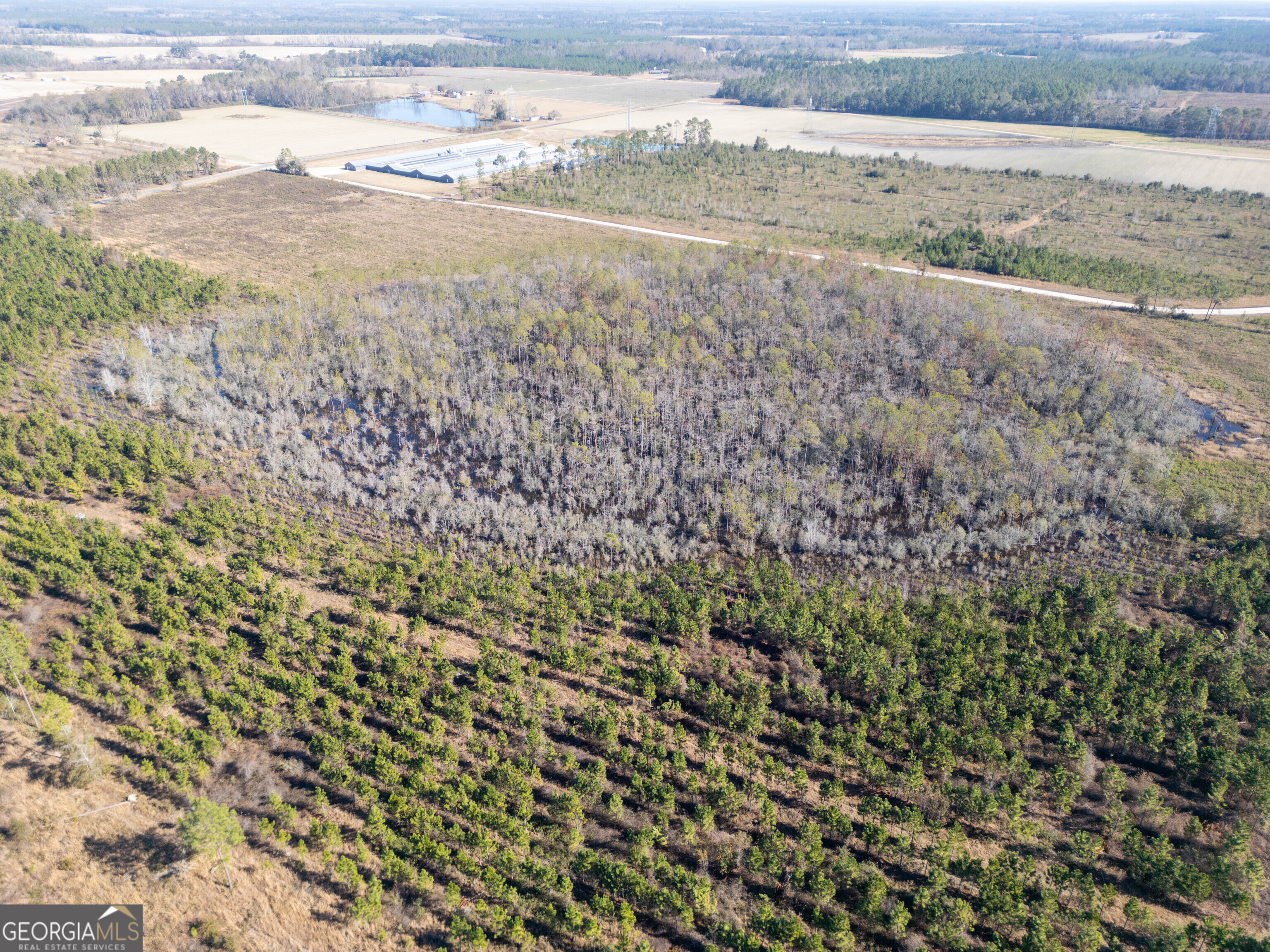 0 Piney Grove Church Road Property Photo 10